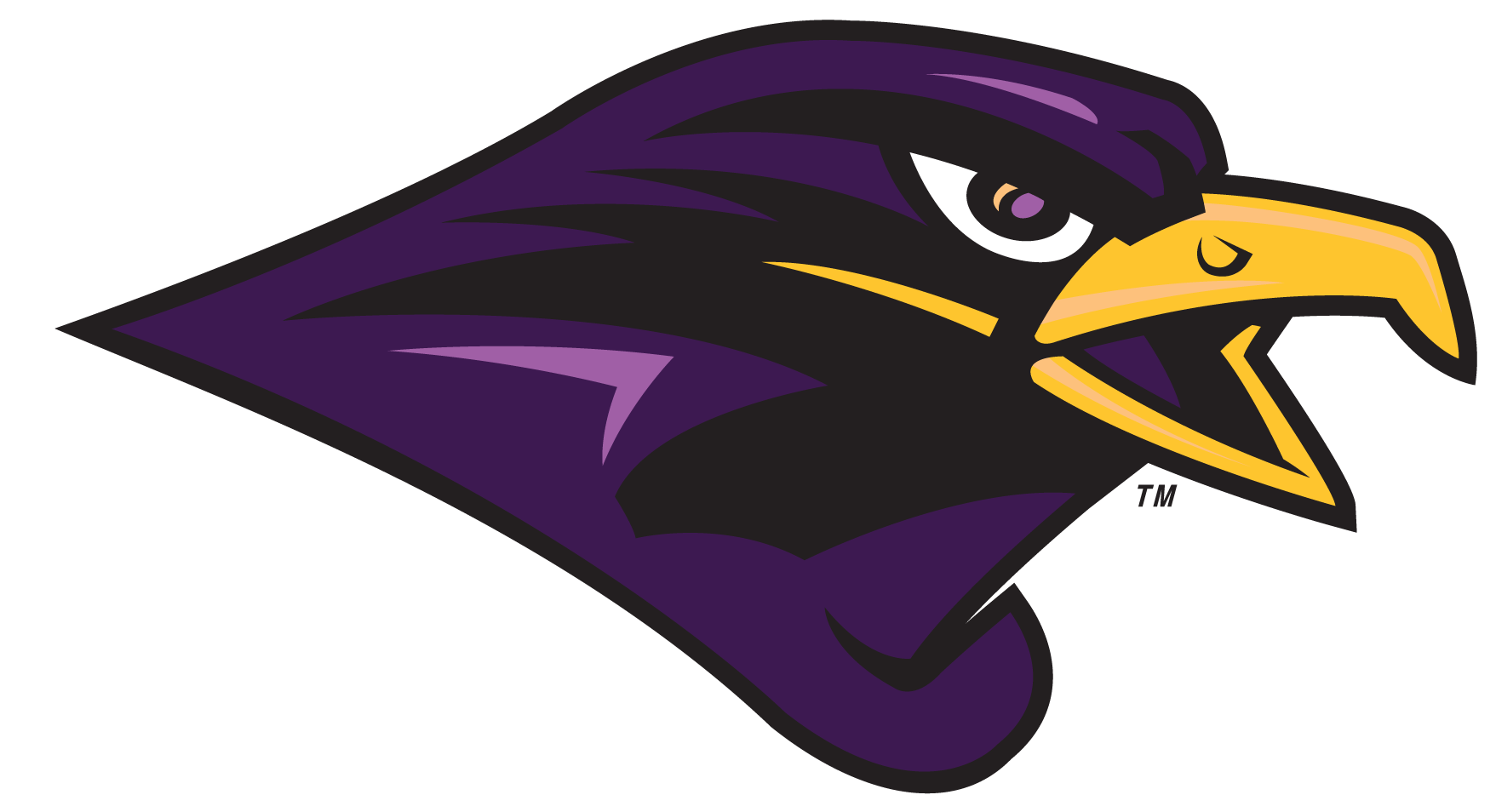 falcon head 
