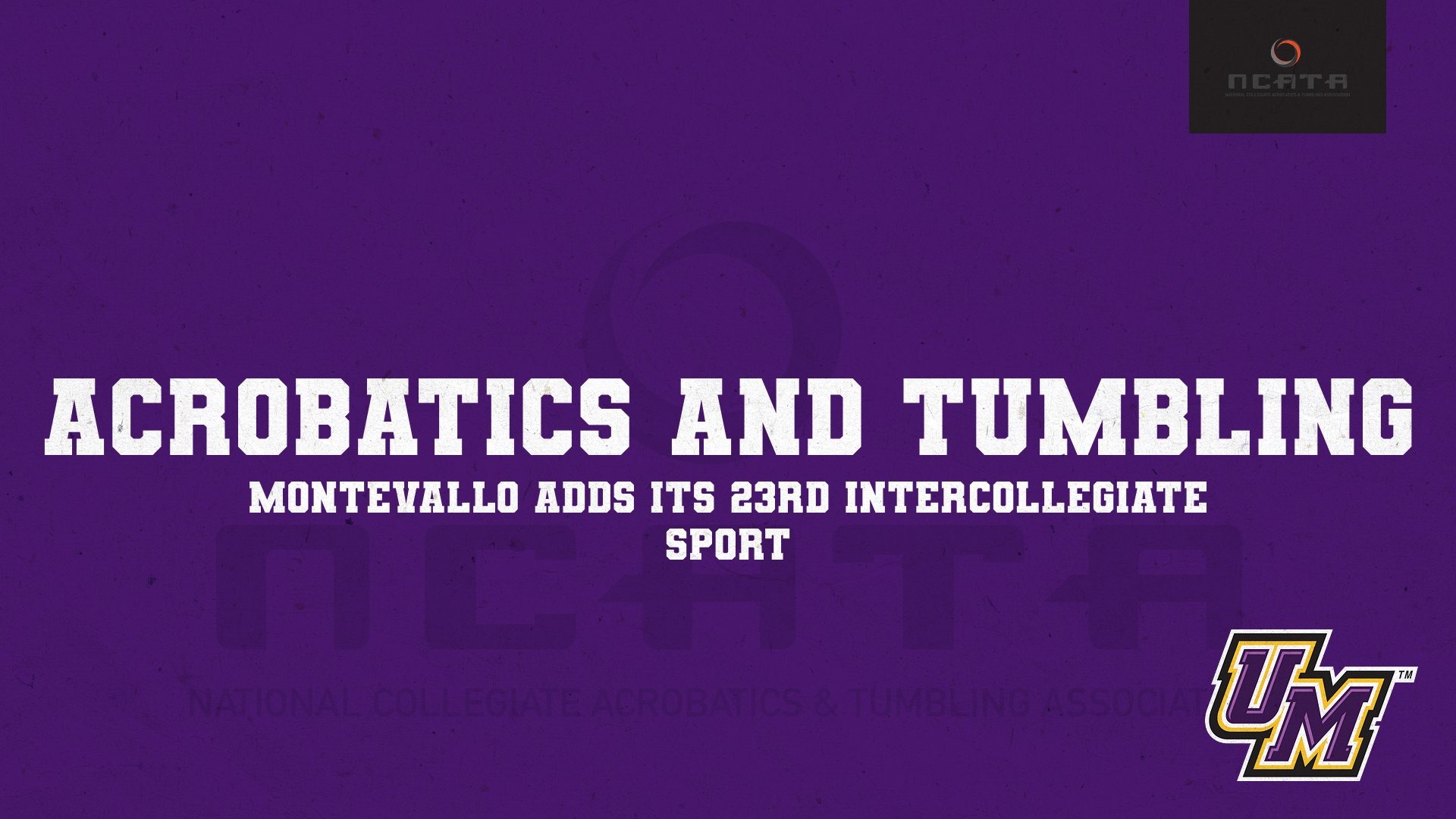 Montevallo Athletics Grows to 23 with Addition of Acrobatics and