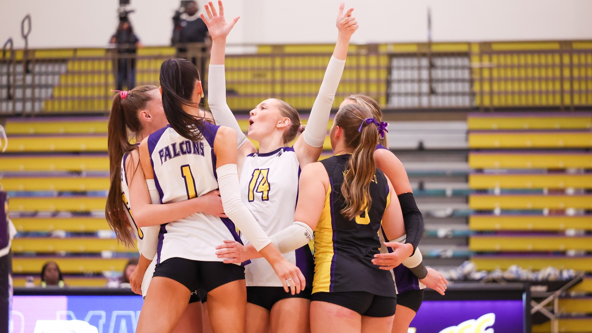 Montevallo volleyball player Lily Erdal (14) raises both arms in celebration while surrounded by teammates in white, purple and black uniforms during the Falcons’ match against Lee University.