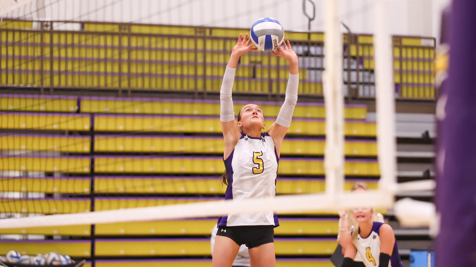 Montevallo volleyball player No. 5, wearing a white and purple jersey, extends both arms overhead to set a blue and white volleyball during a match against Lee University. Teammate No. 4 is visible in the background, with yellow bleachers behind the court.
