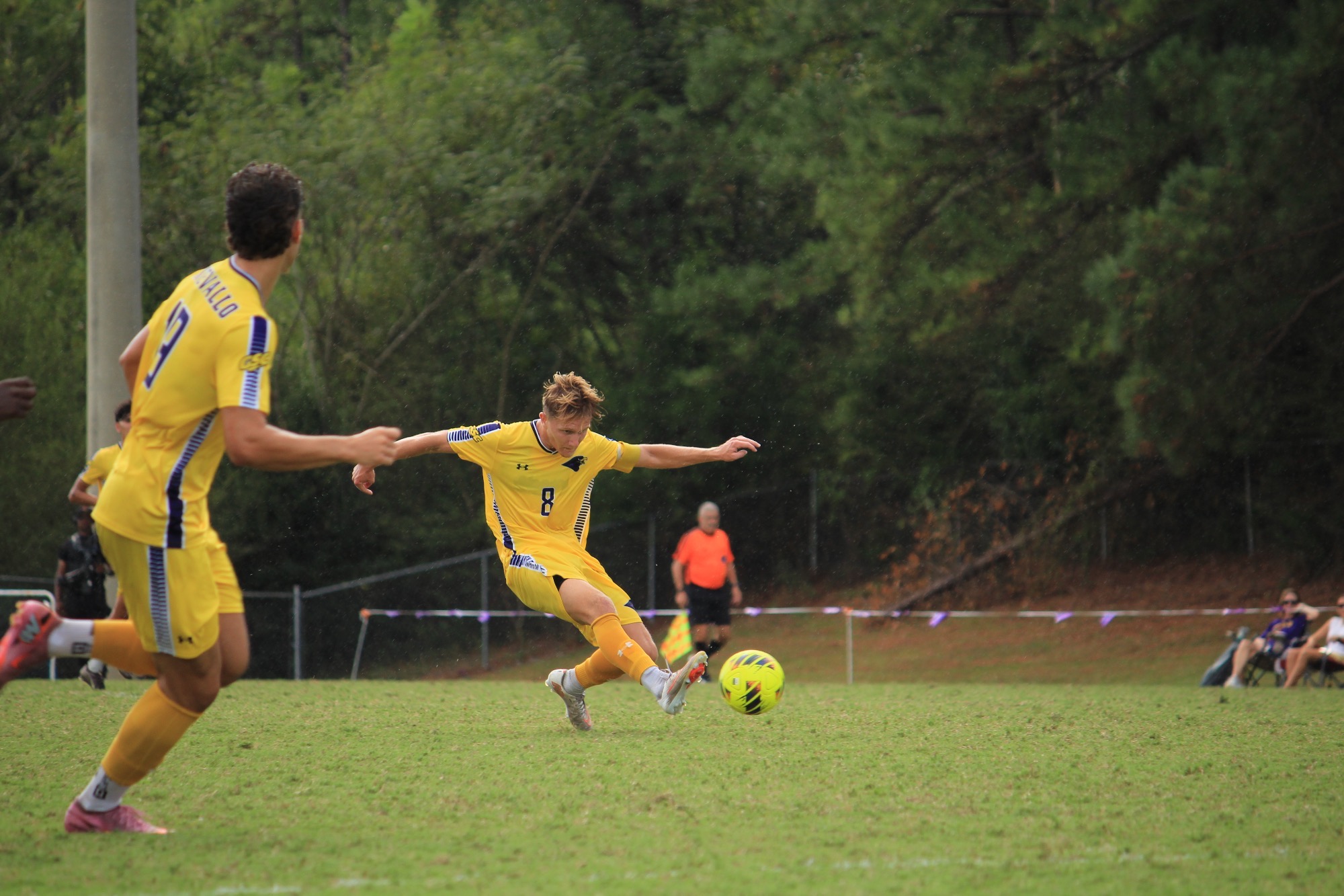 Msoc 