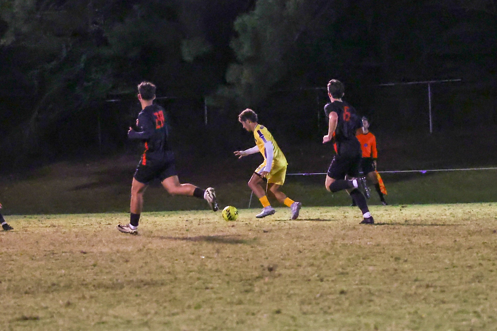 msoc