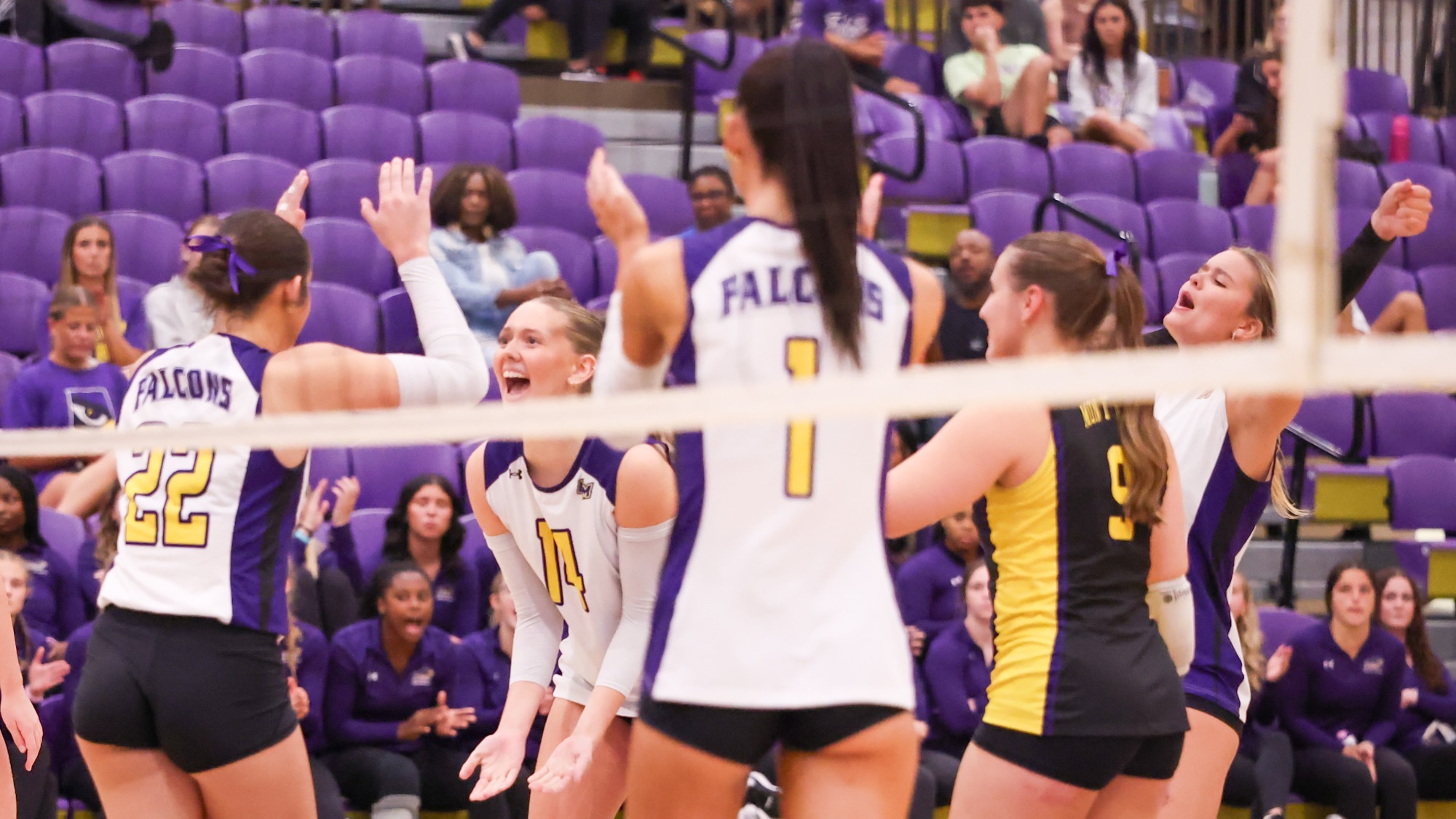 Montevallo Volleyball Celebrates Versus Lee