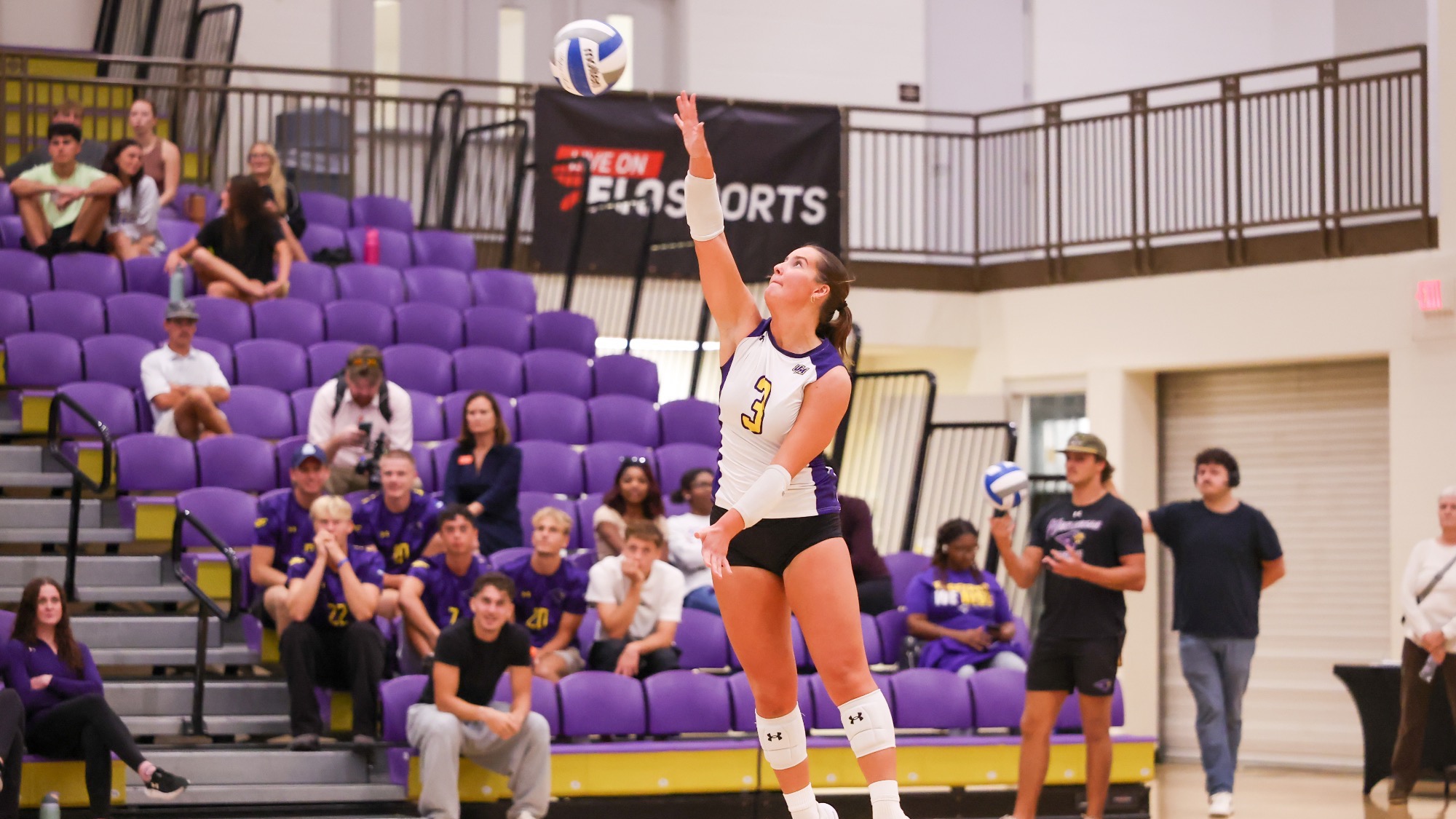 Montevallo VS Lee