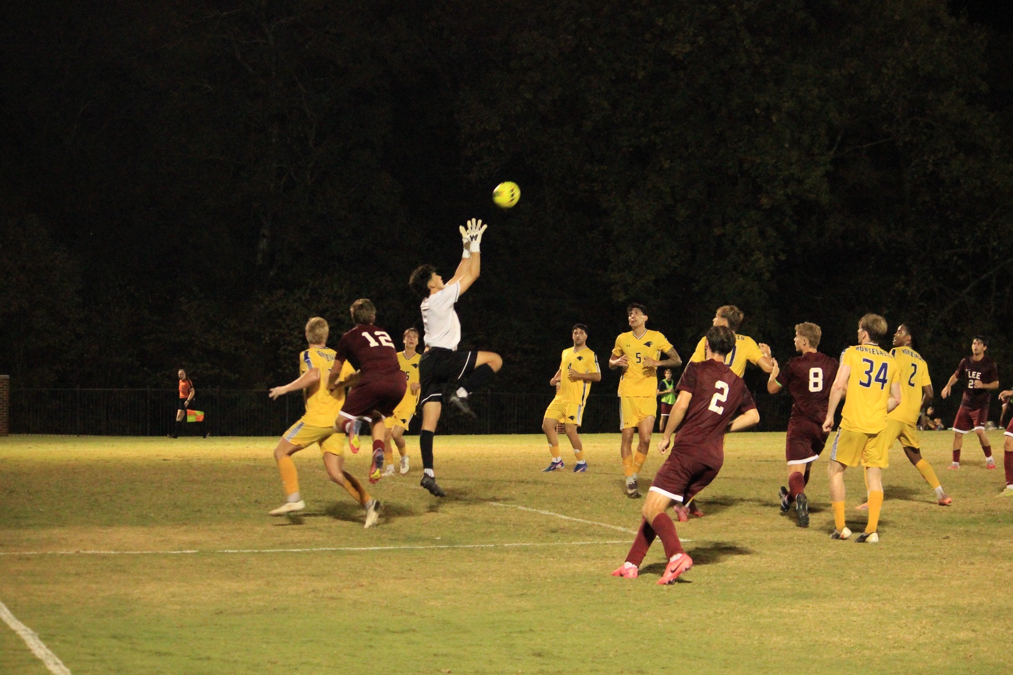 GK save