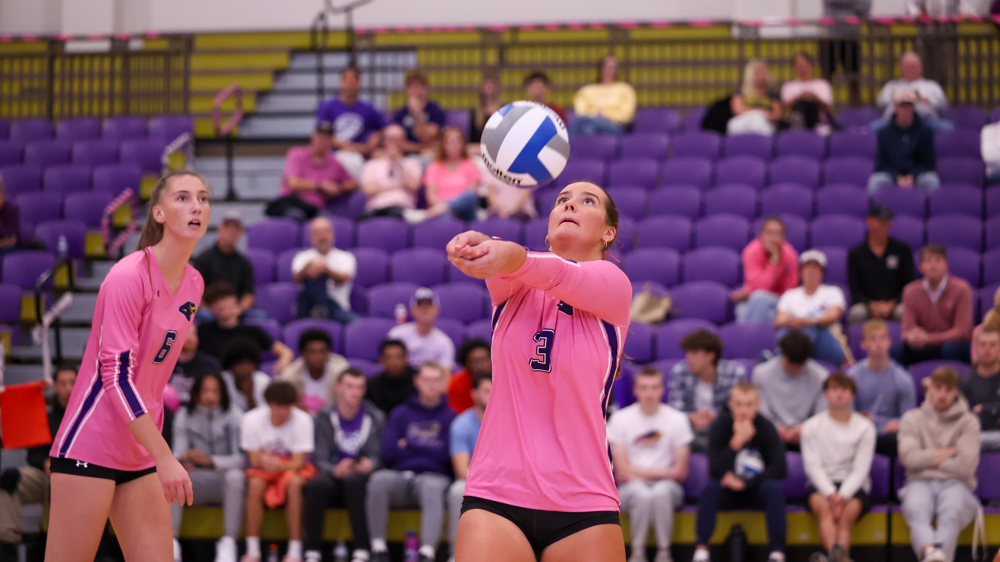 Montevallo at Dig Pink