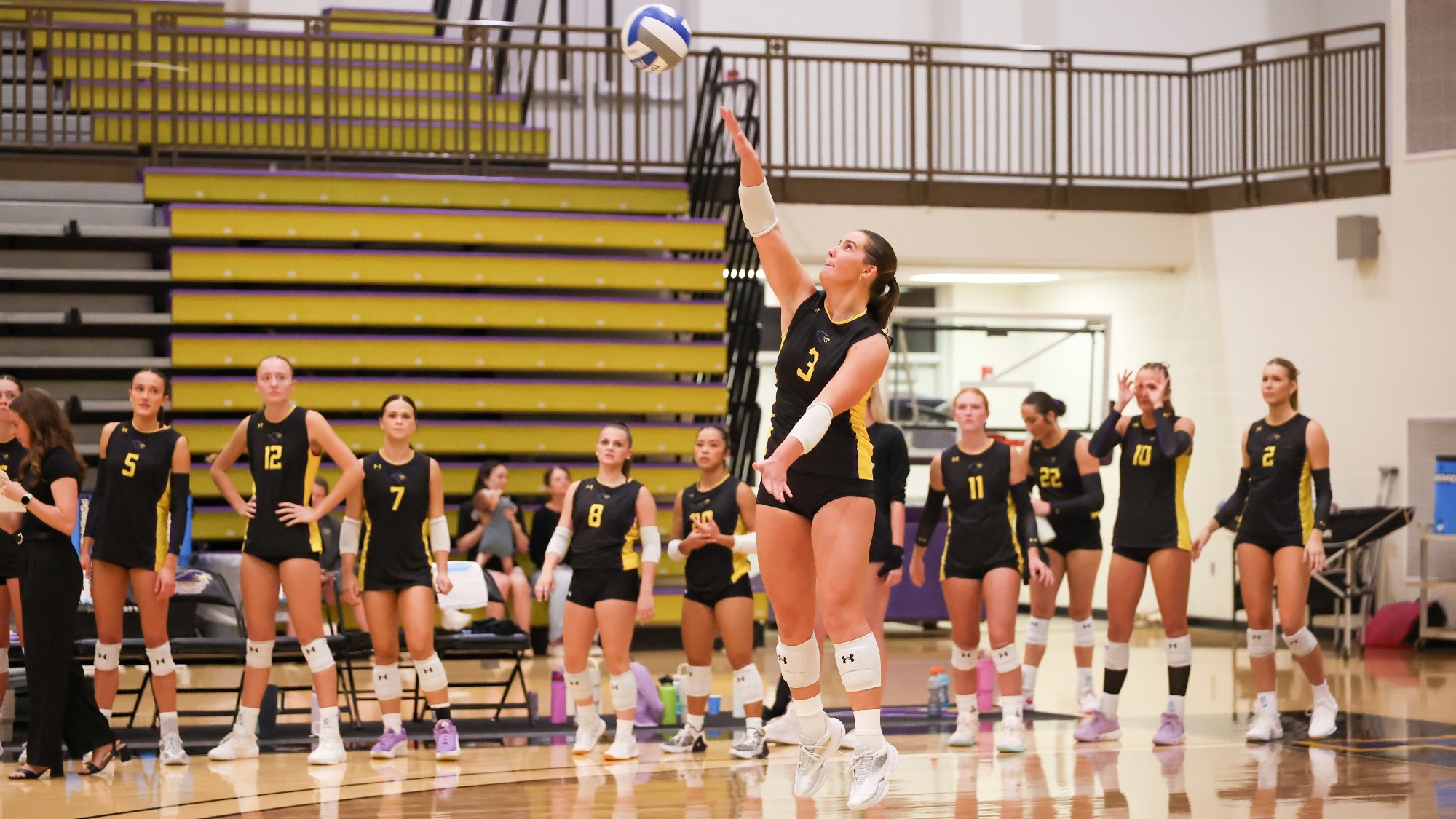 Montevallo volleyball player Mae Mae Beatty serves the ball while her teammates watch from the sideline inside Central State Bank Arena.