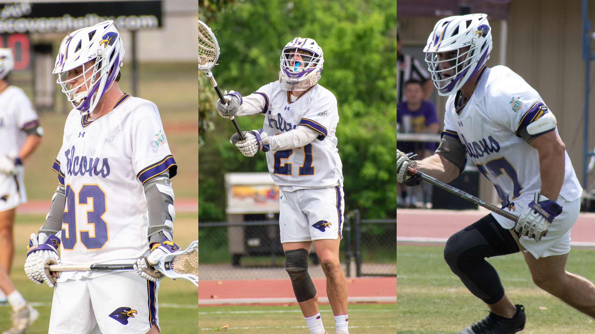 MLAX