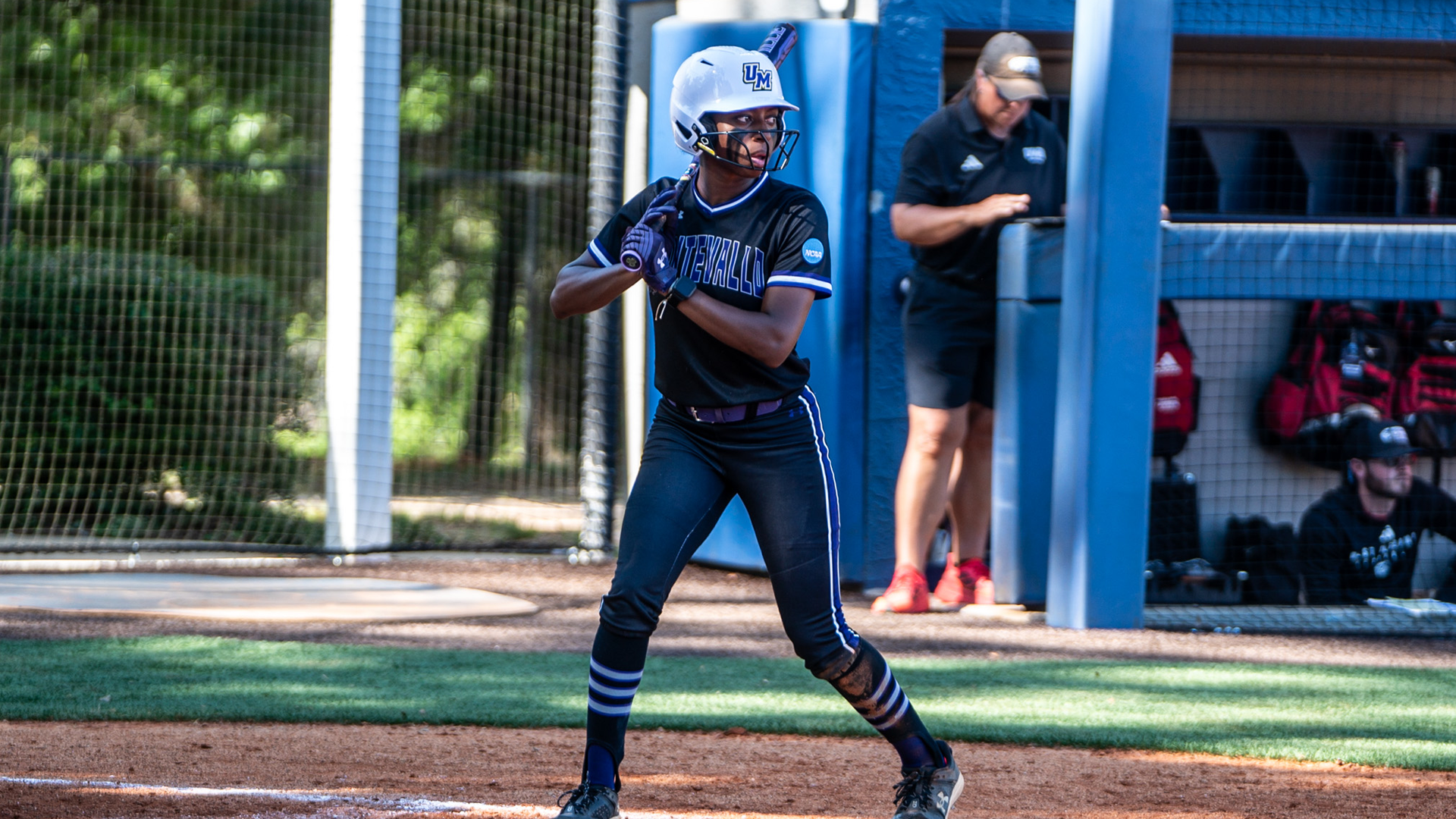 Taylor Rogers SB