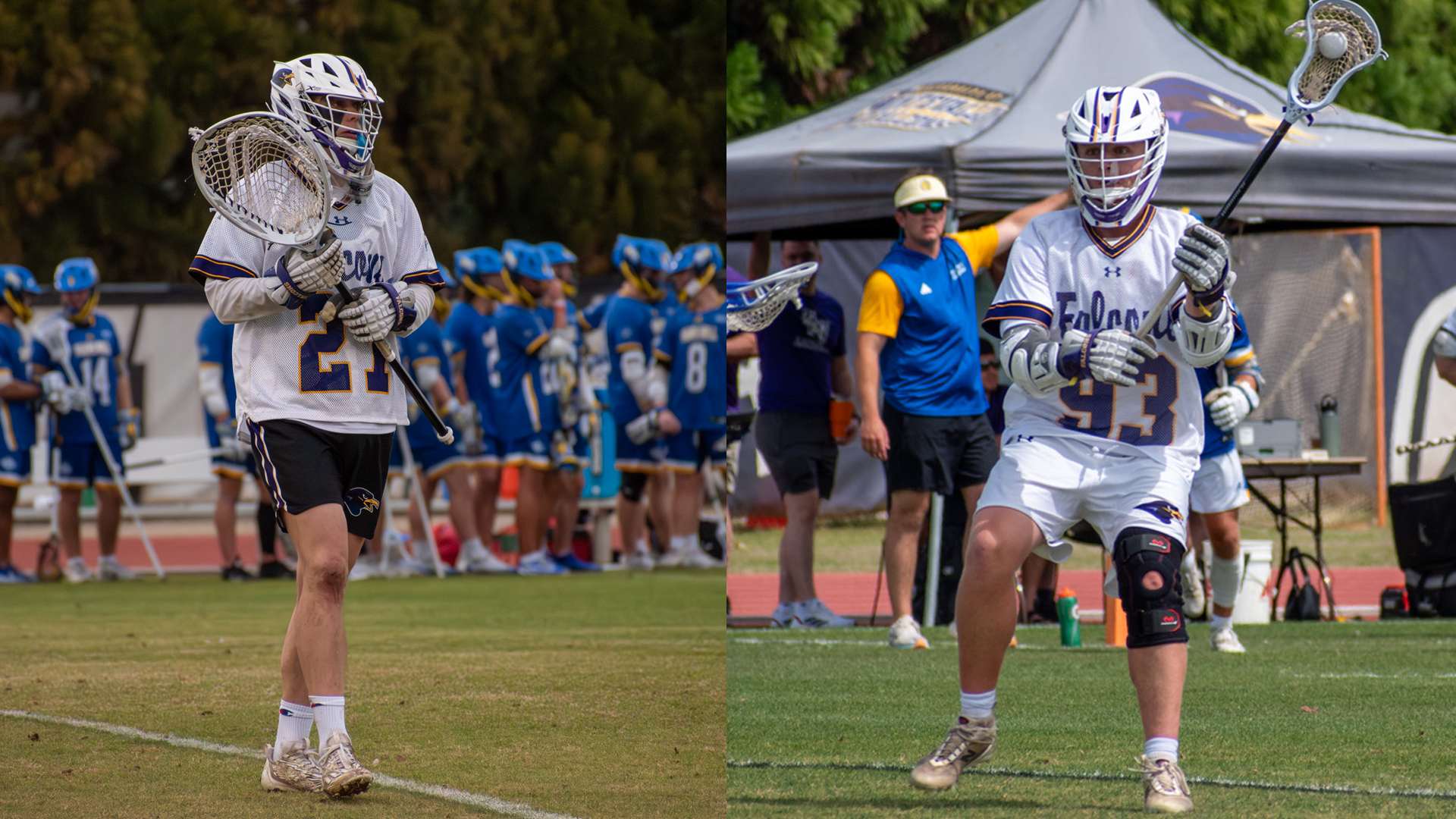 mlax