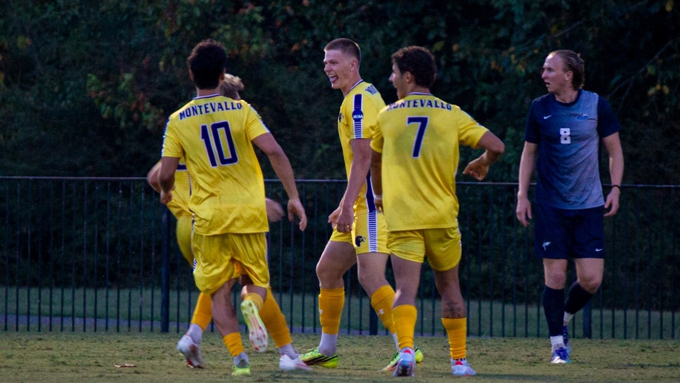 msoc