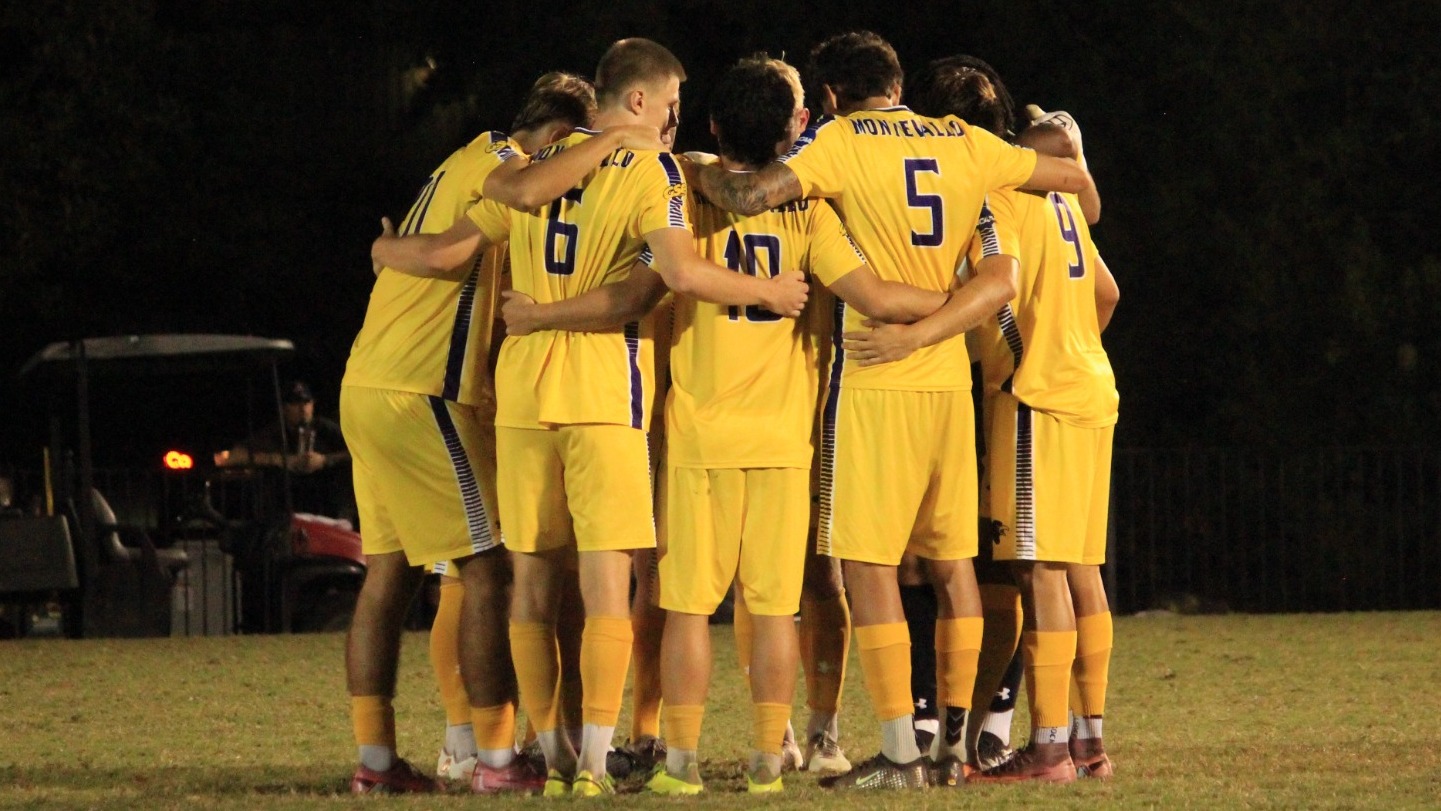 msoc