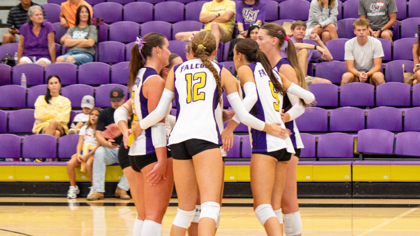 VB