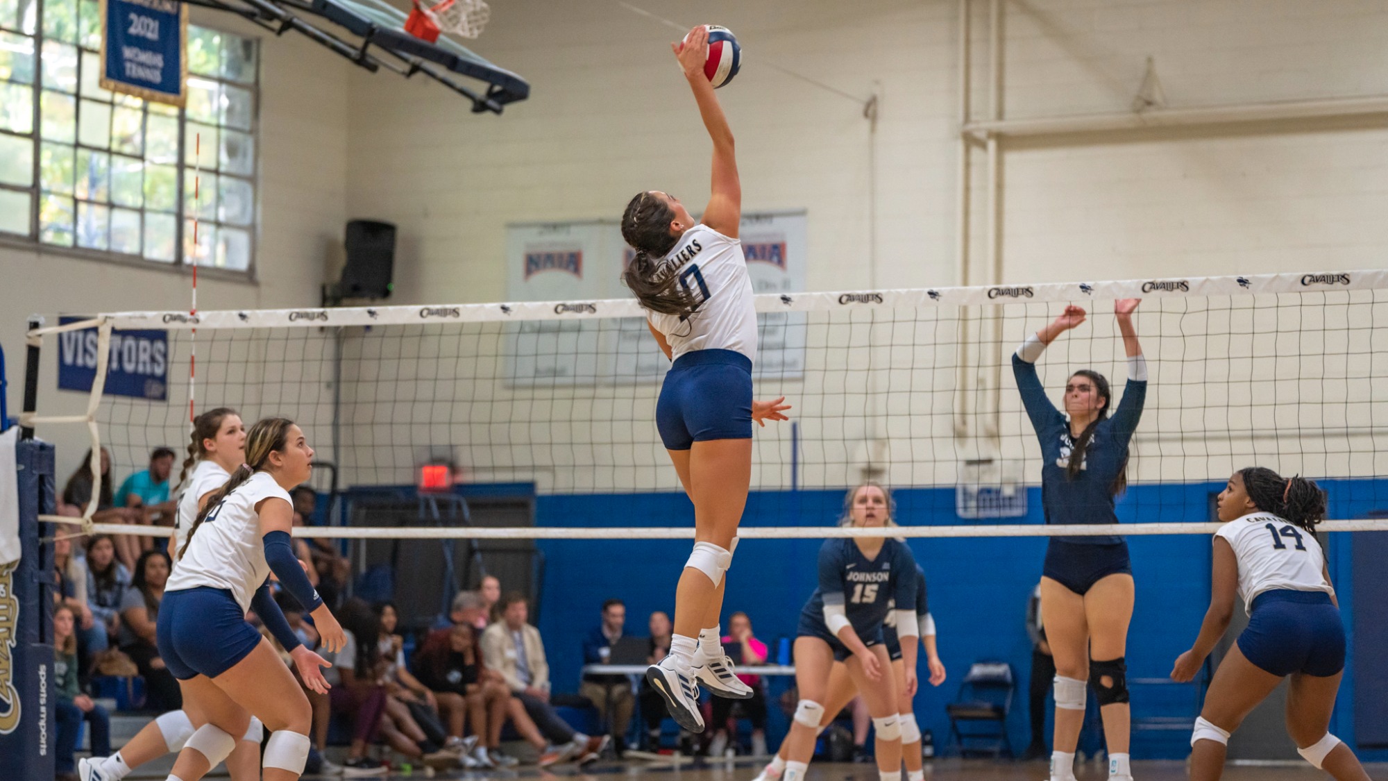 Katie Dickey 2022 Women's Volleyball Montreat College