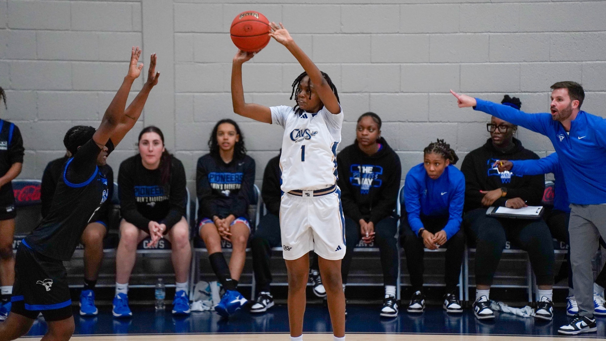 Trinety Dajuste vs. Spartanburg Methodist 011026