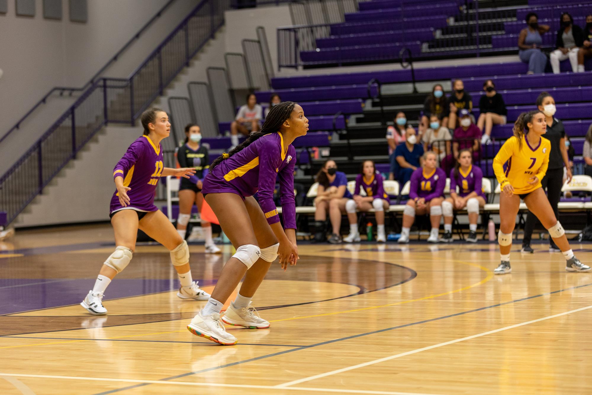 Bailey Hollis Girls Volleyball Montverde Academy Athletics