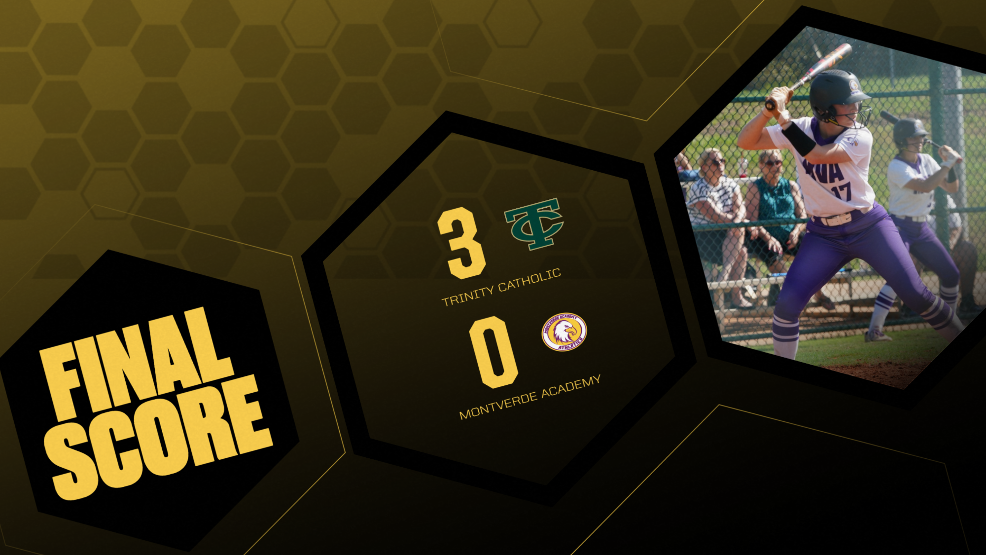 Softball Loses Regional Championship