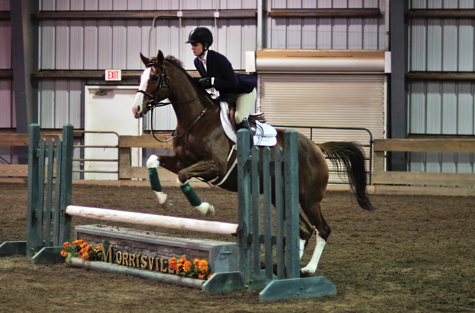 Hunt seat equestrian