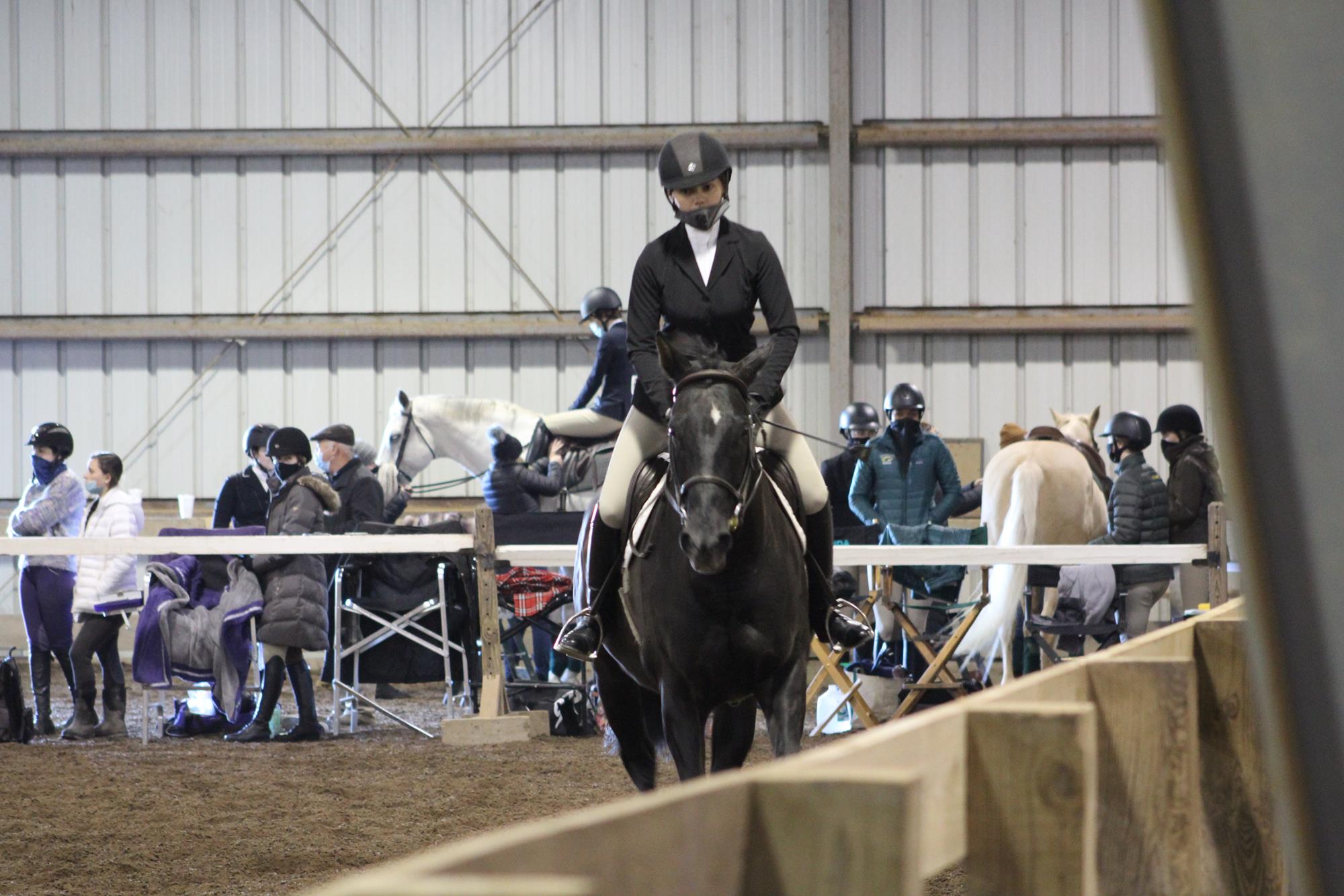 Hunt Seat Equestrian