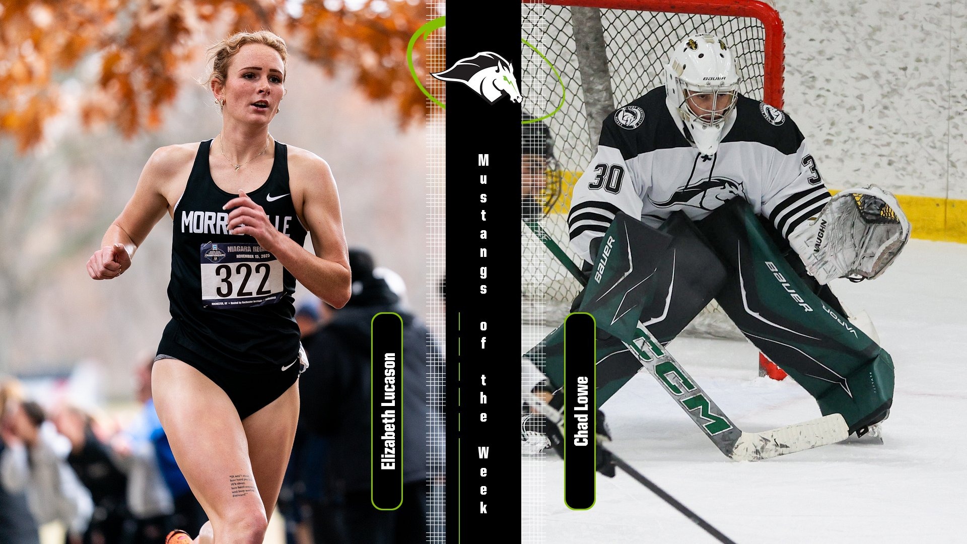 Mustangs of the Week