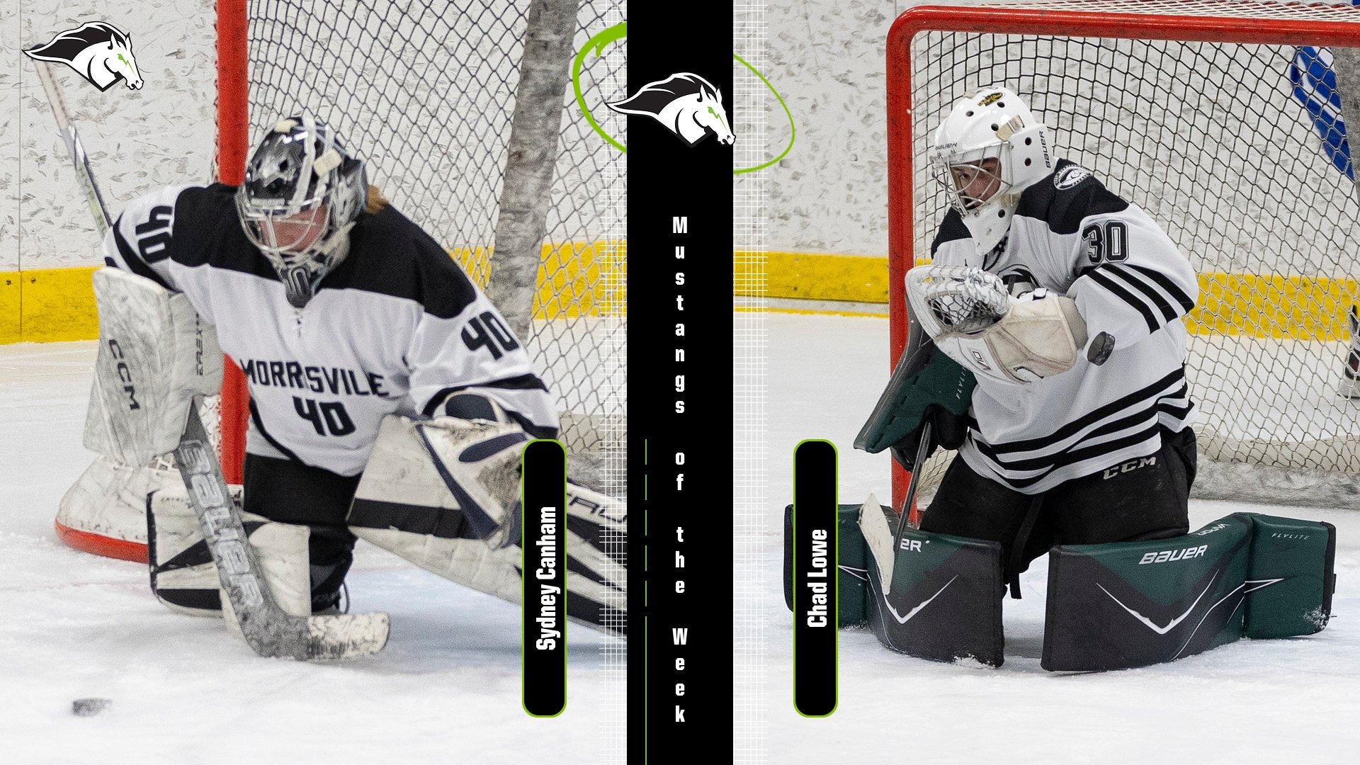 Mustangs of the Week