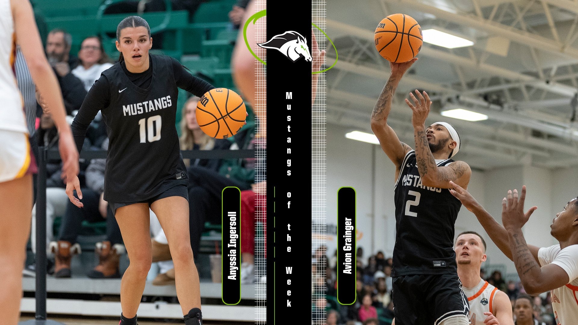 Mustangs of the Week