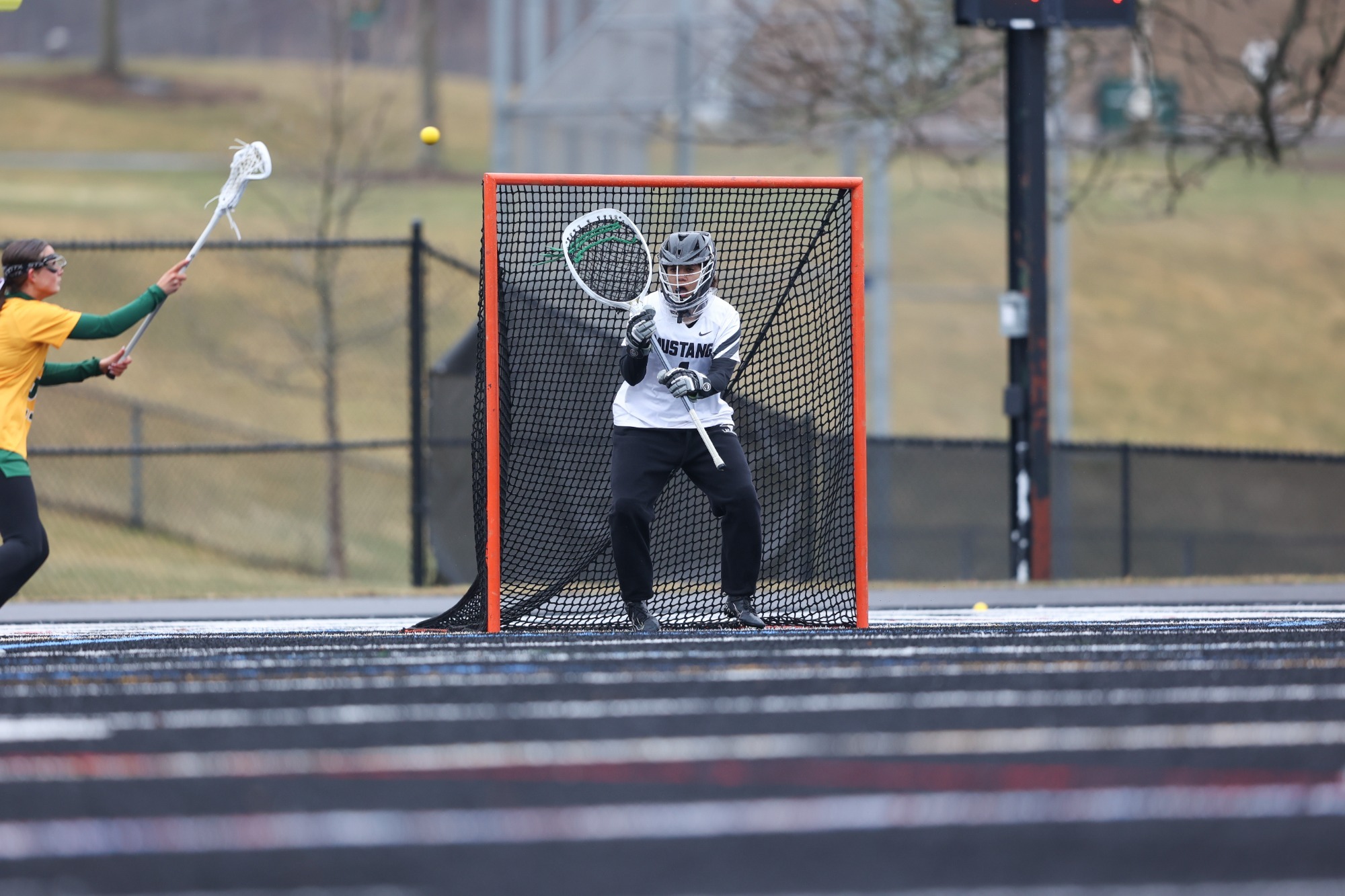 Mustang lacrosse