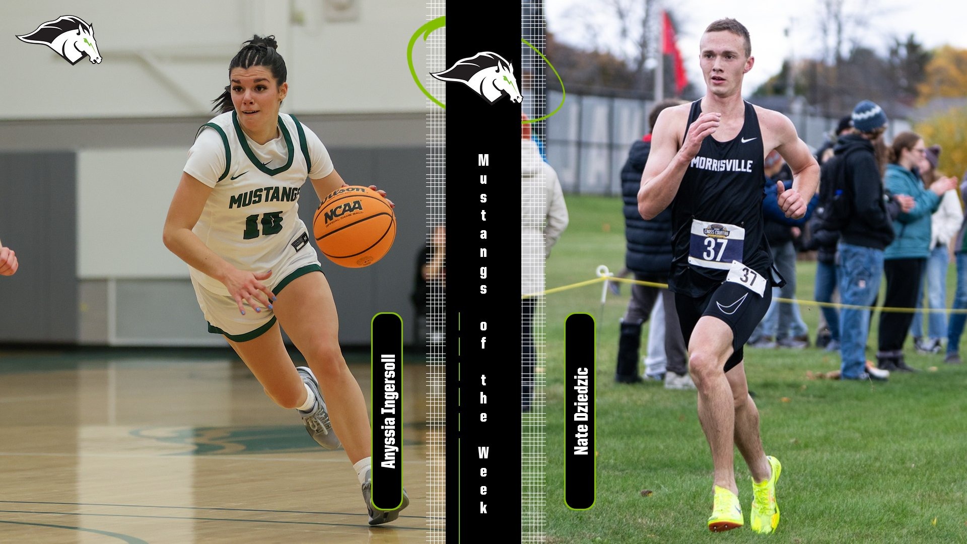 Mustangs of the Week