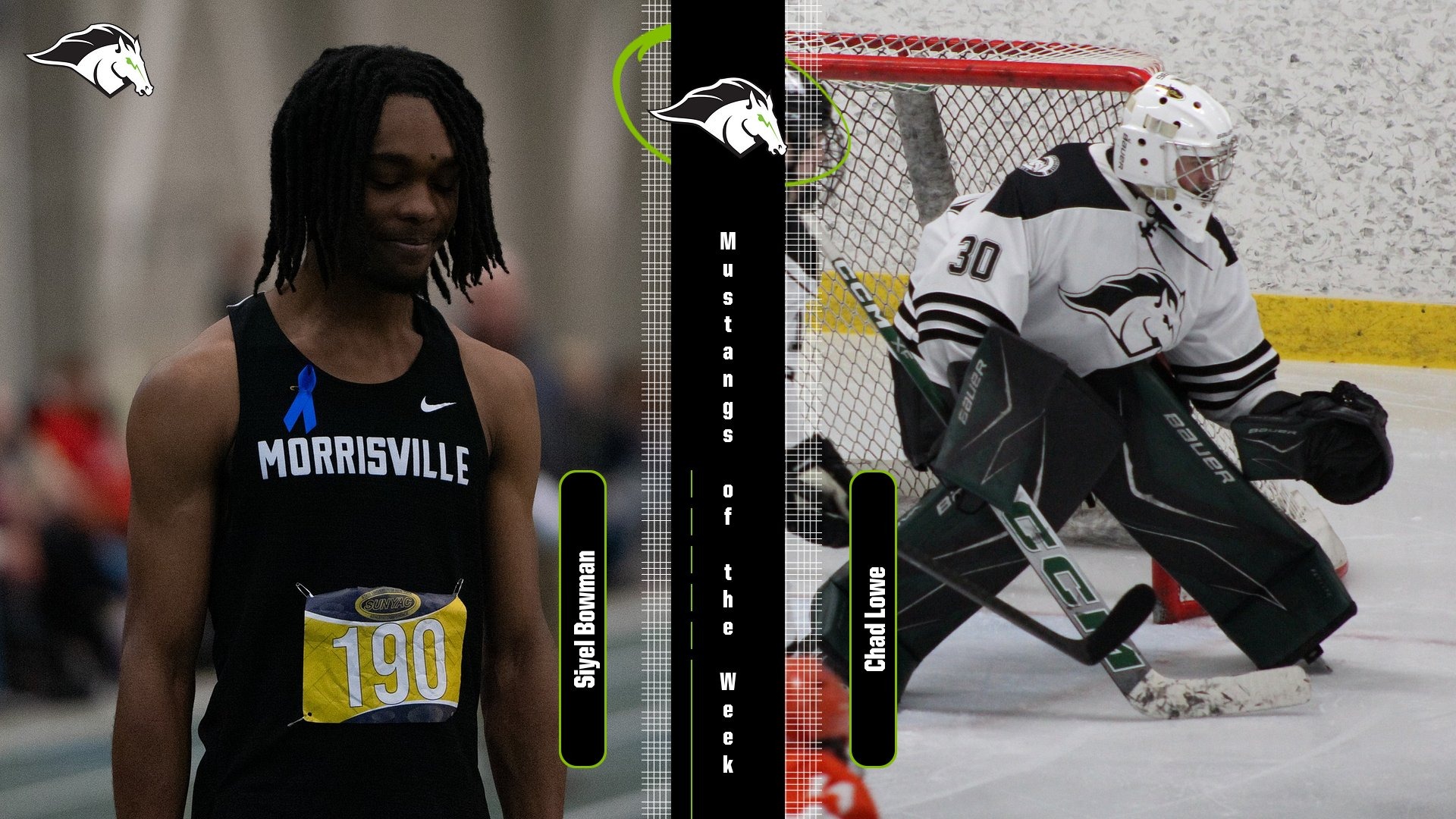 Mustangs of the Week - February 19, 2026