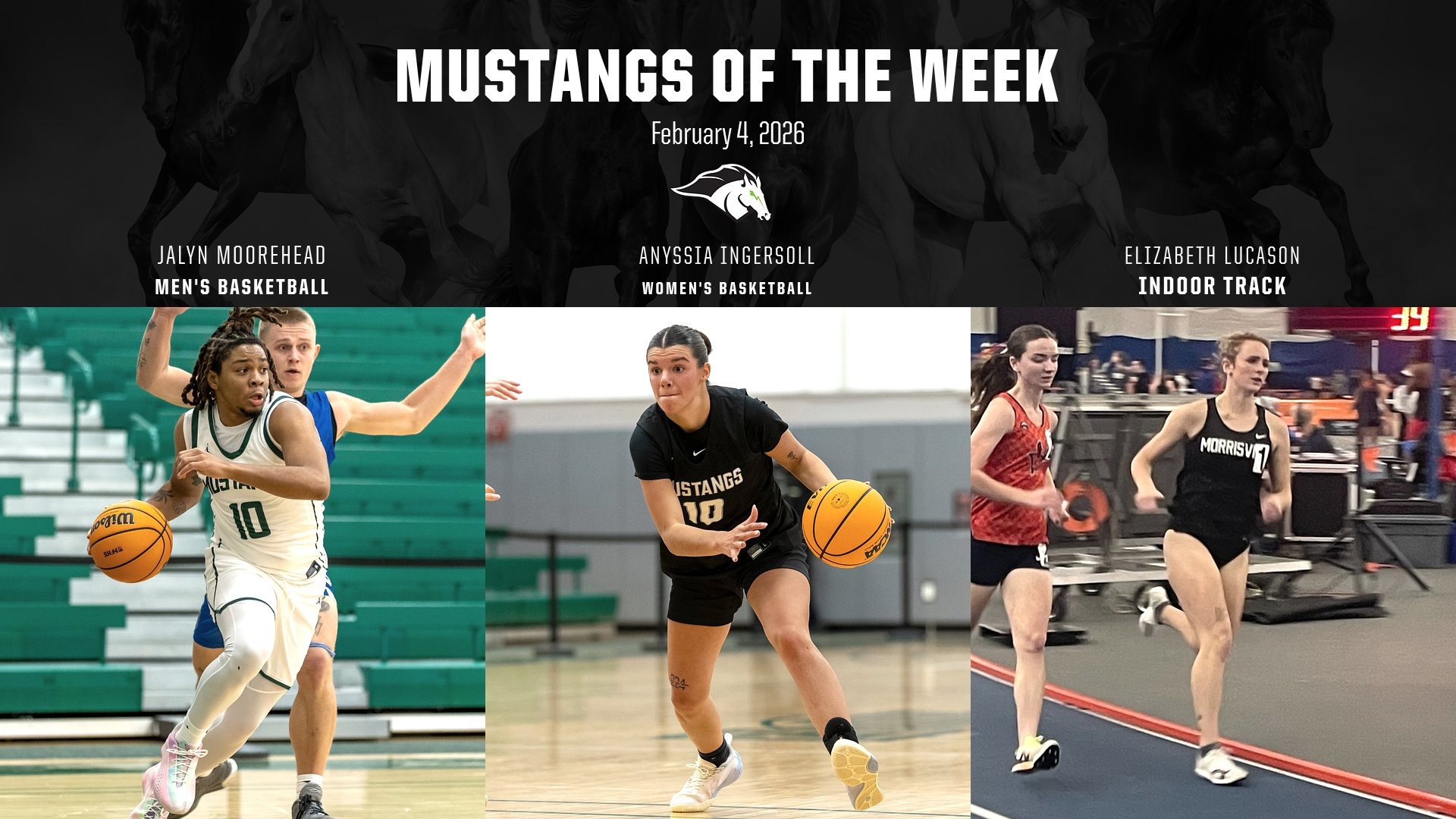 Mustangs of the Week