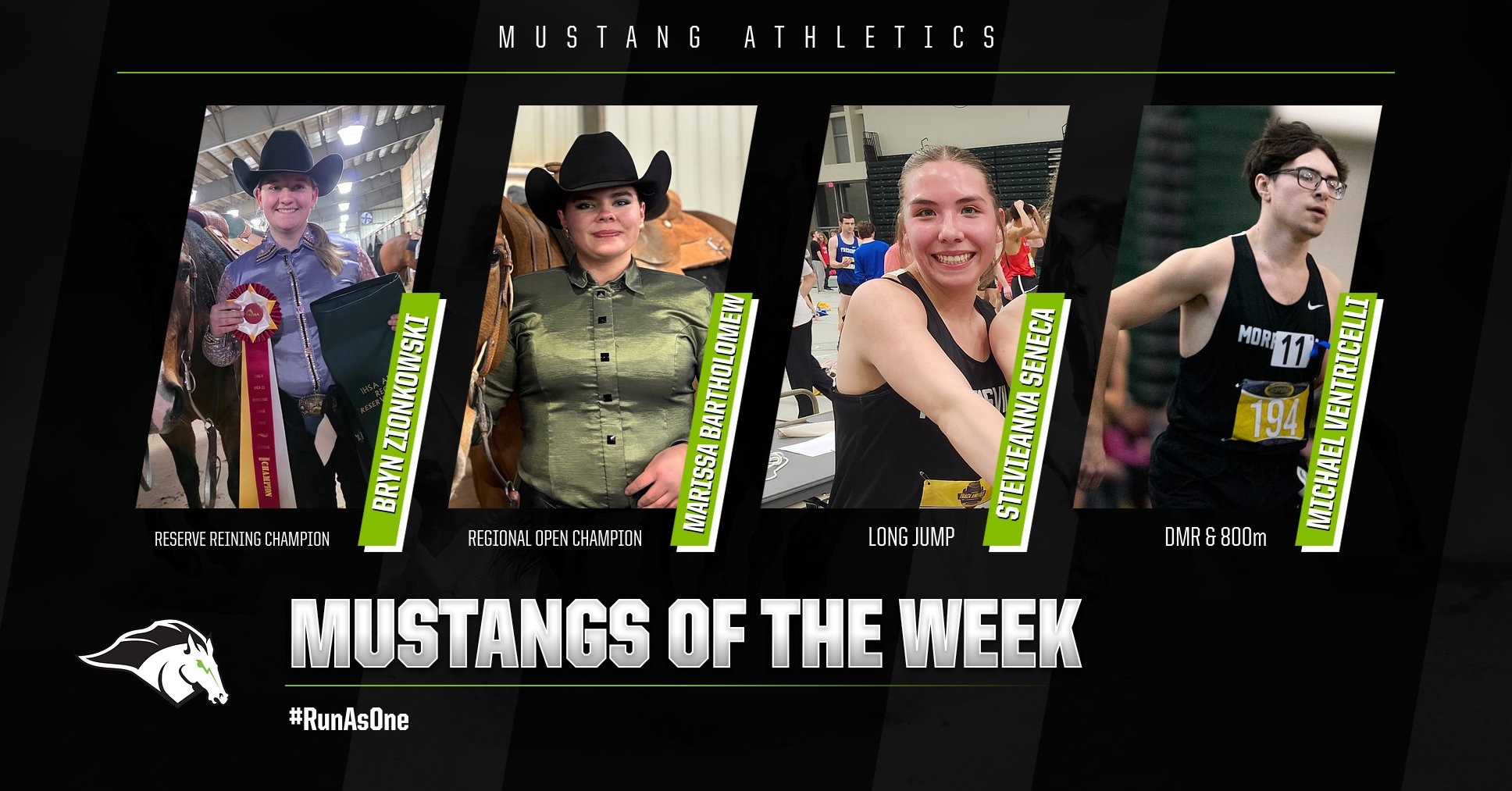 Mustangs of the Week