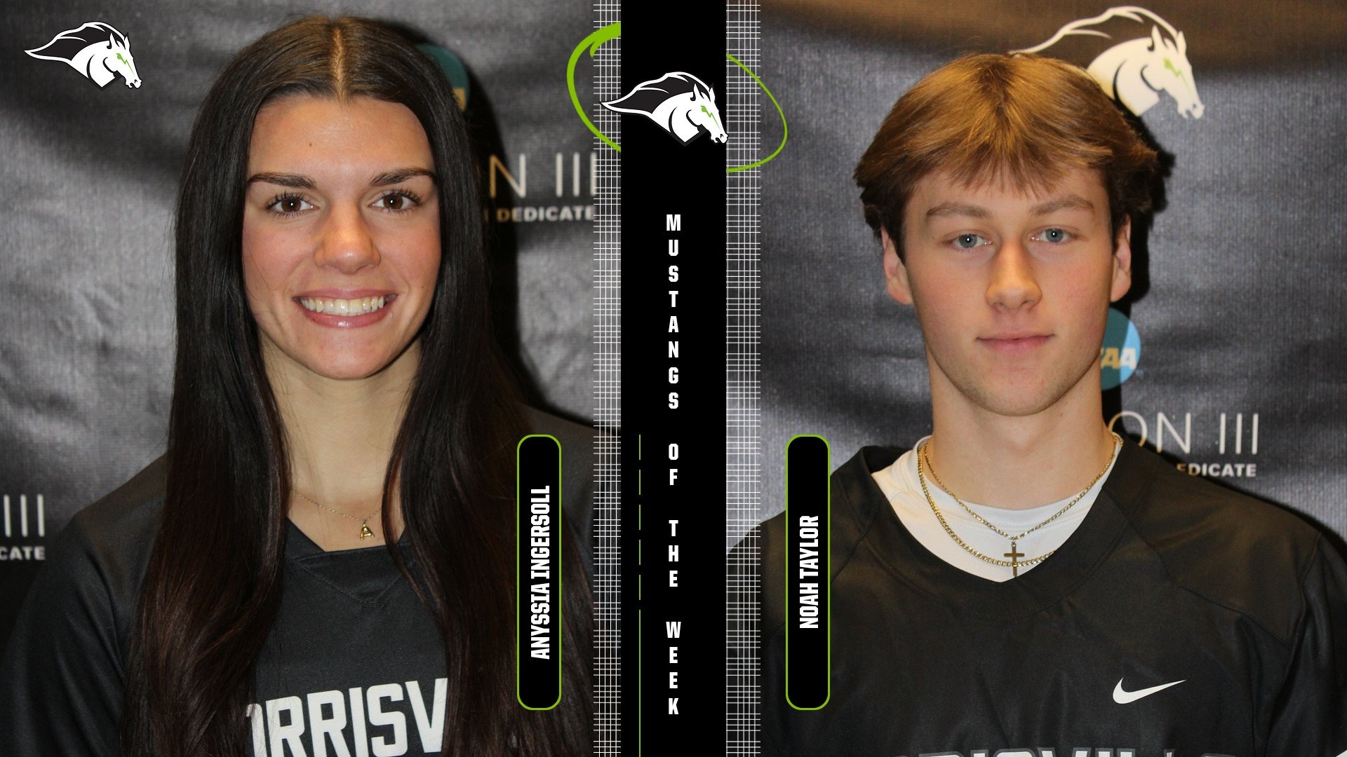 MUSTANGS OF THE WEEK