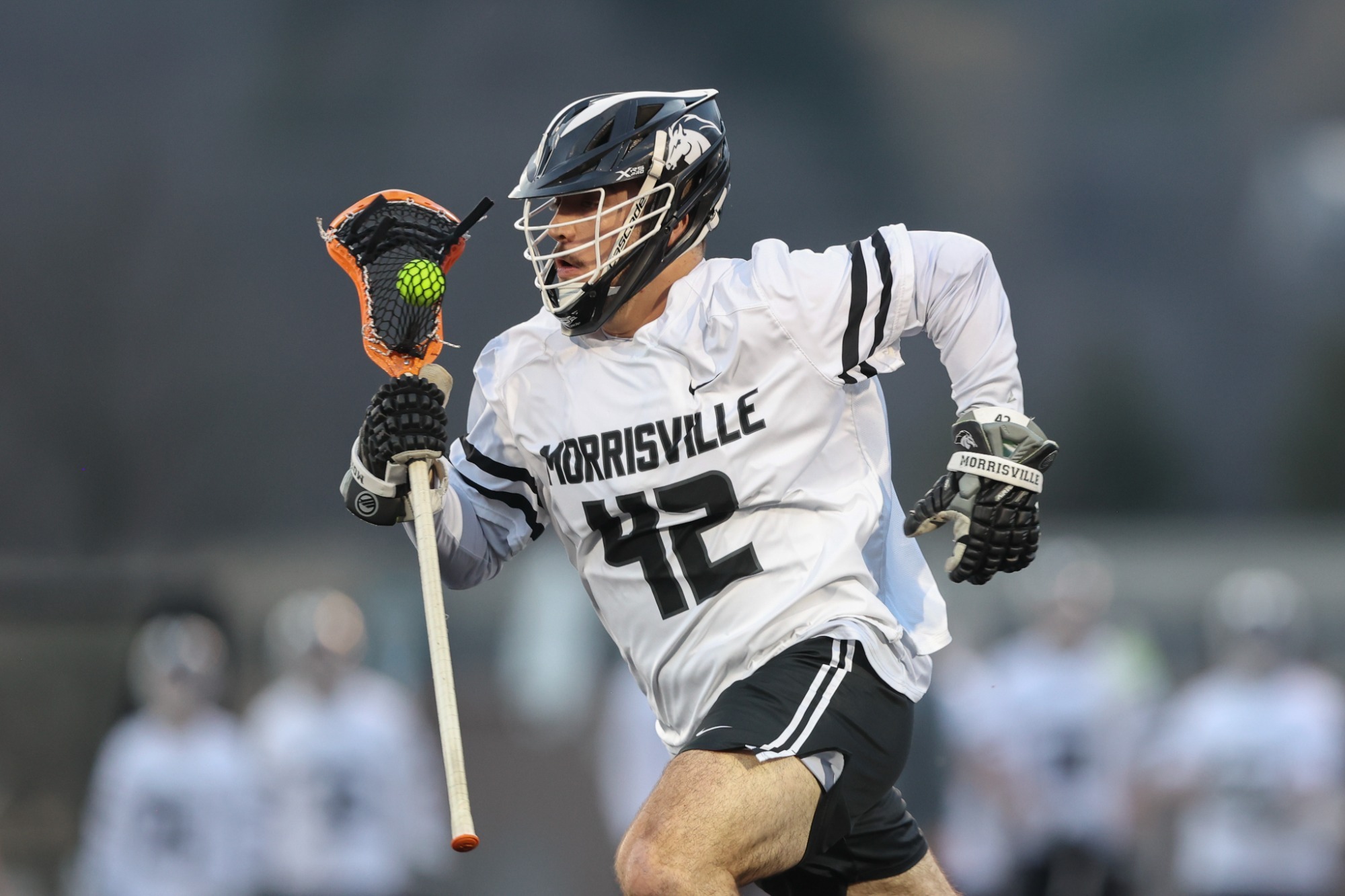 Men's Lacrosse