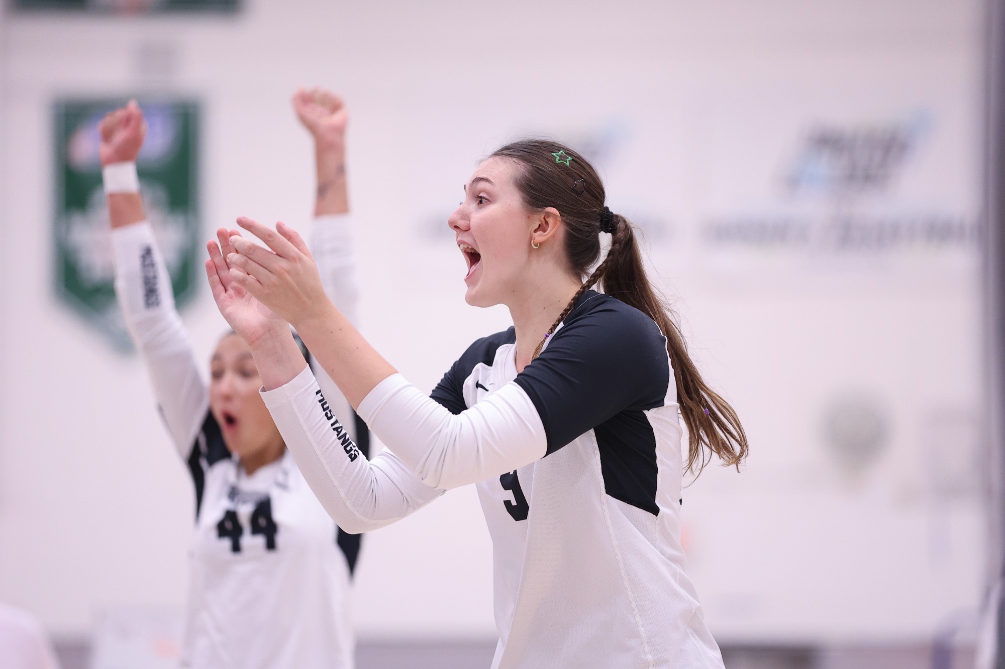 Mustang Volleyball