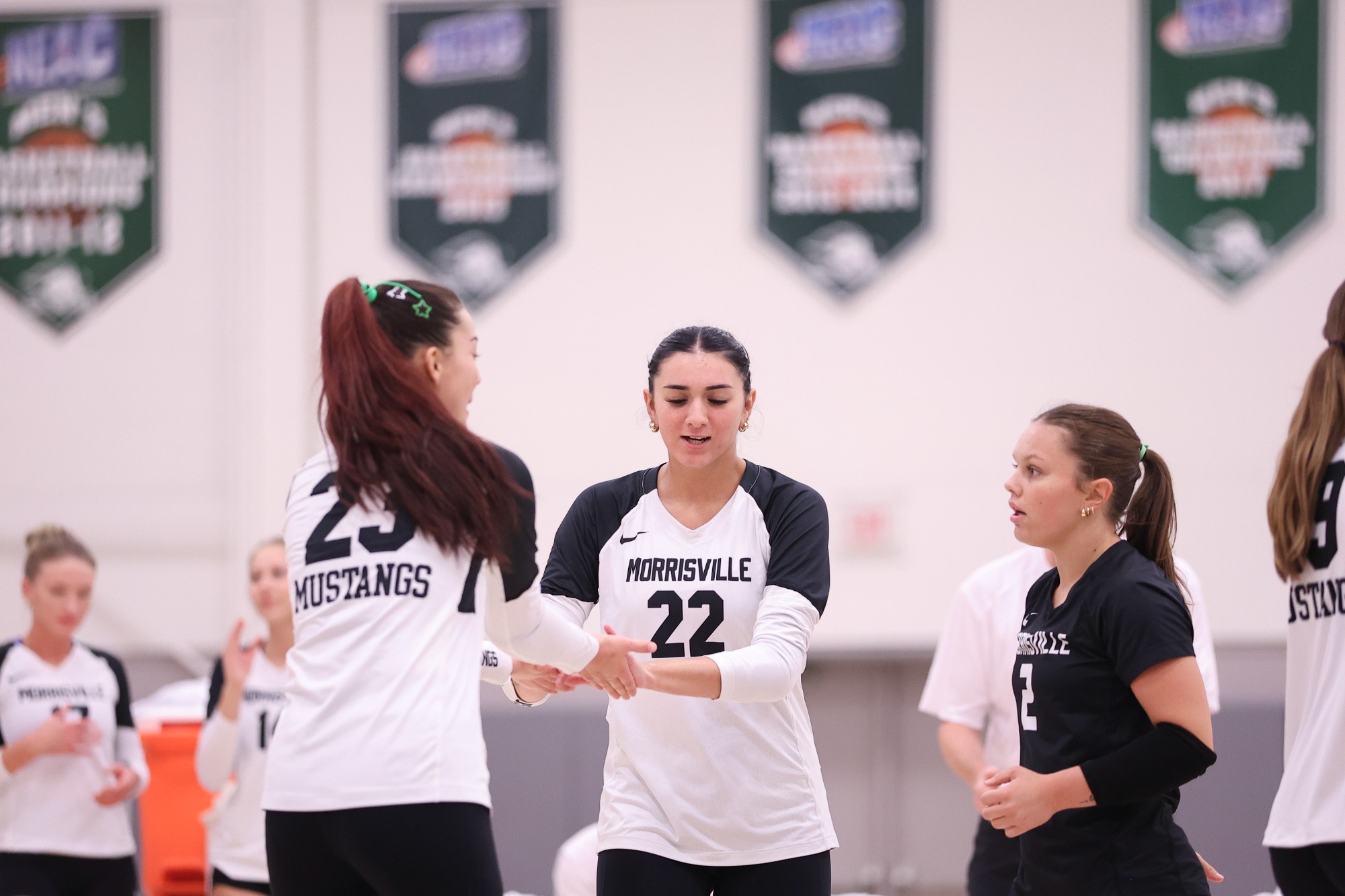 Mustang Volleyball