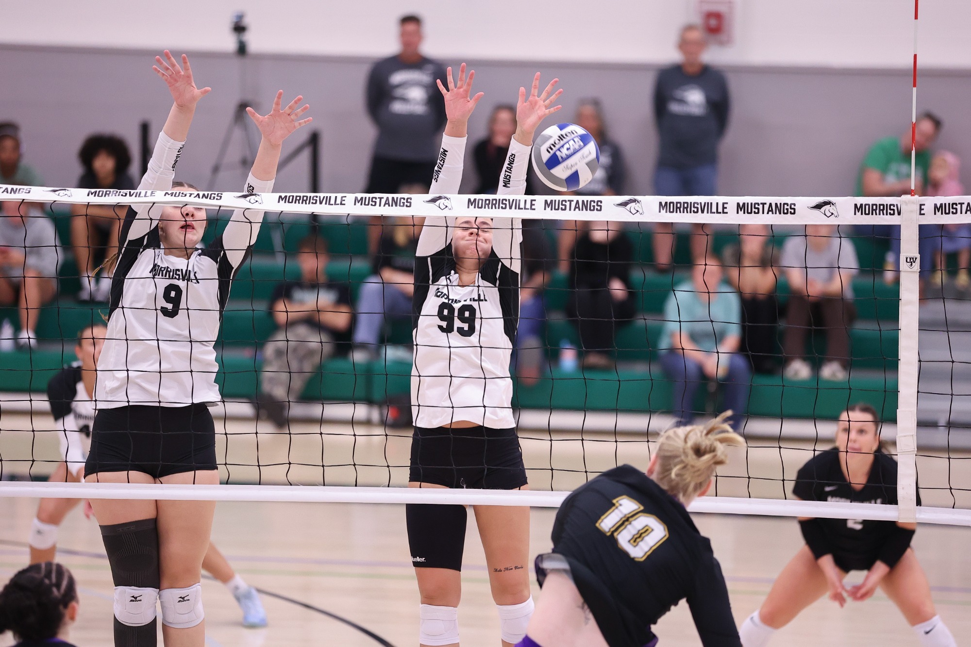 Mustang Volleyball