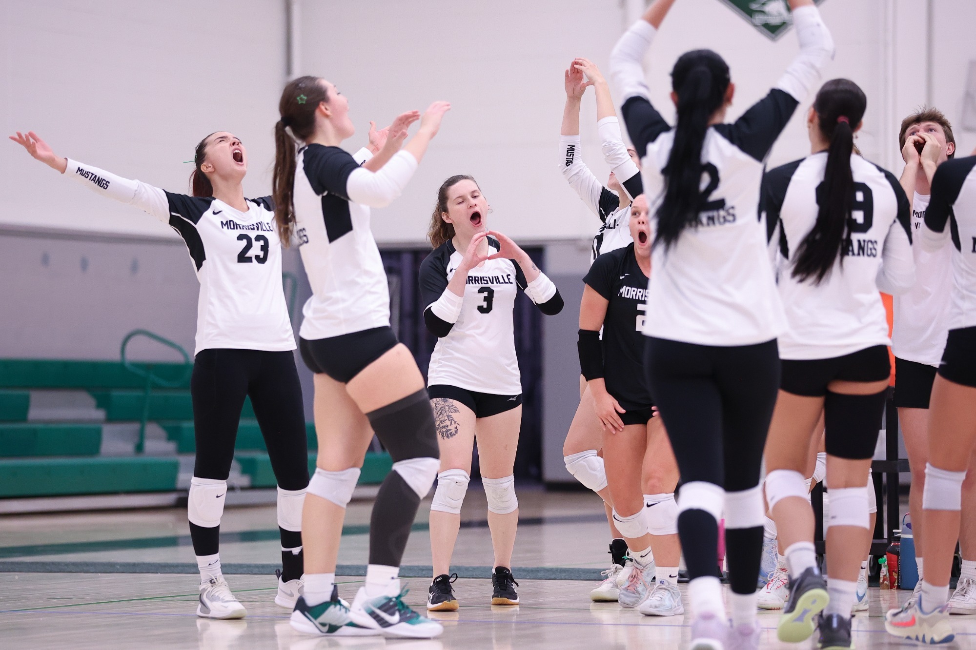 Mustang Volleyball