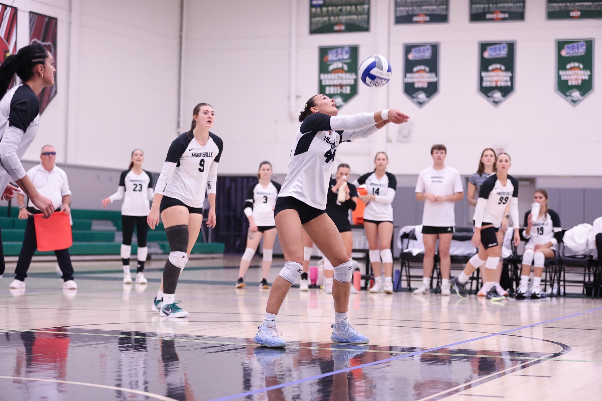 Mustang Volleyball