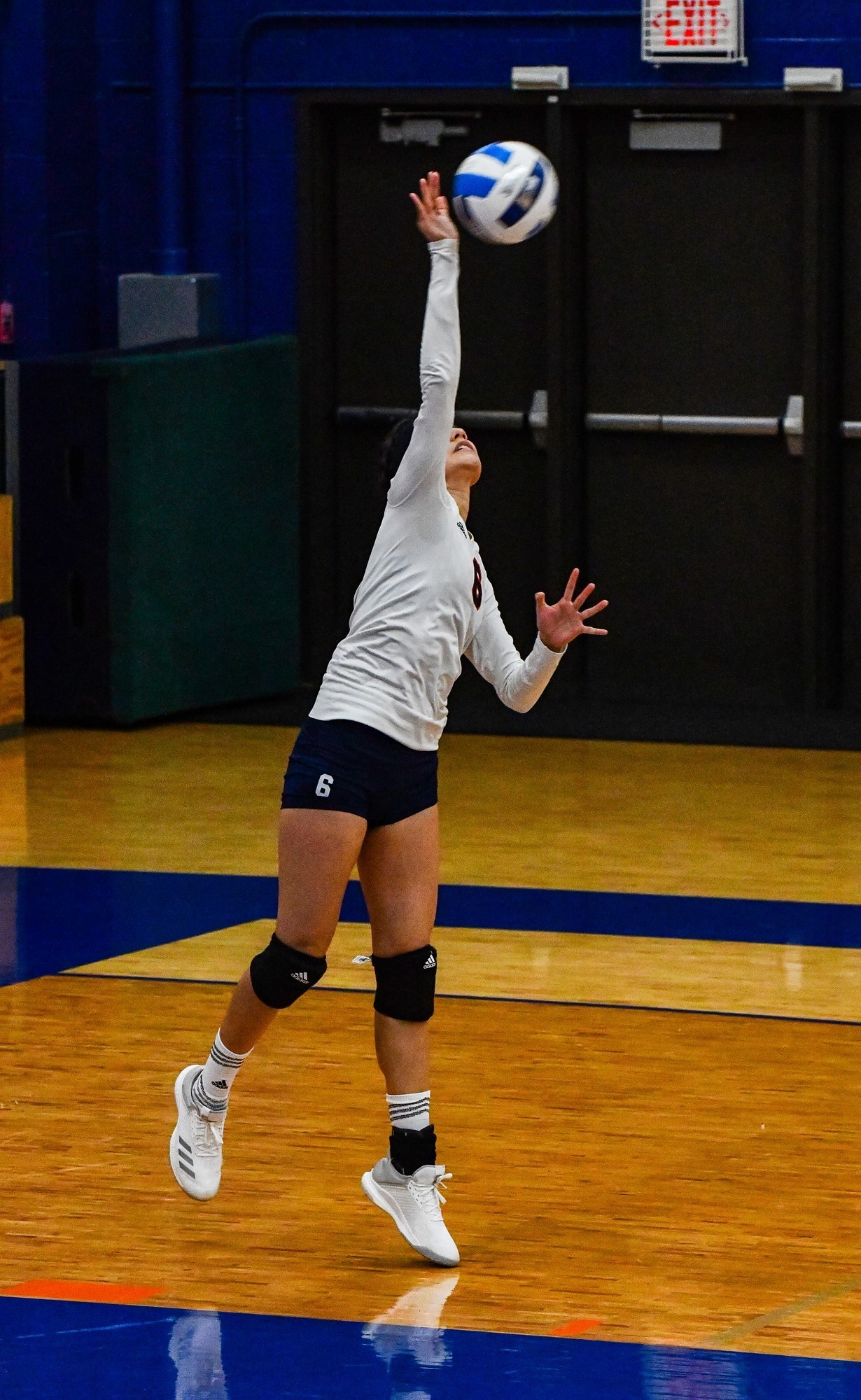 Nely Baeza - 2018-19 - Volleyball - Morton College Athletics