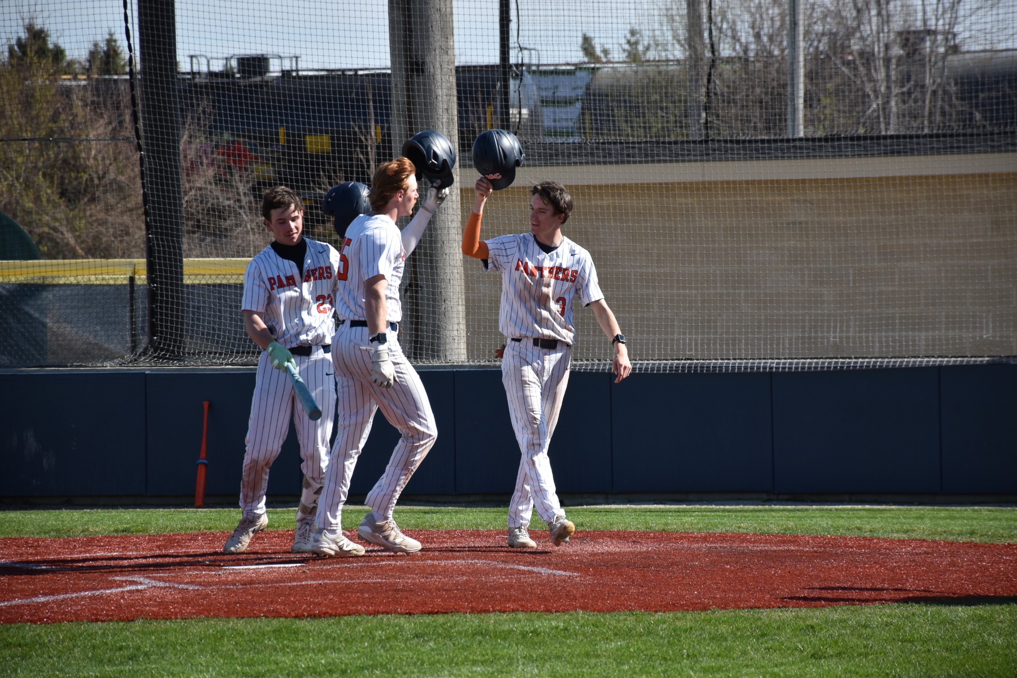 Baseball homer