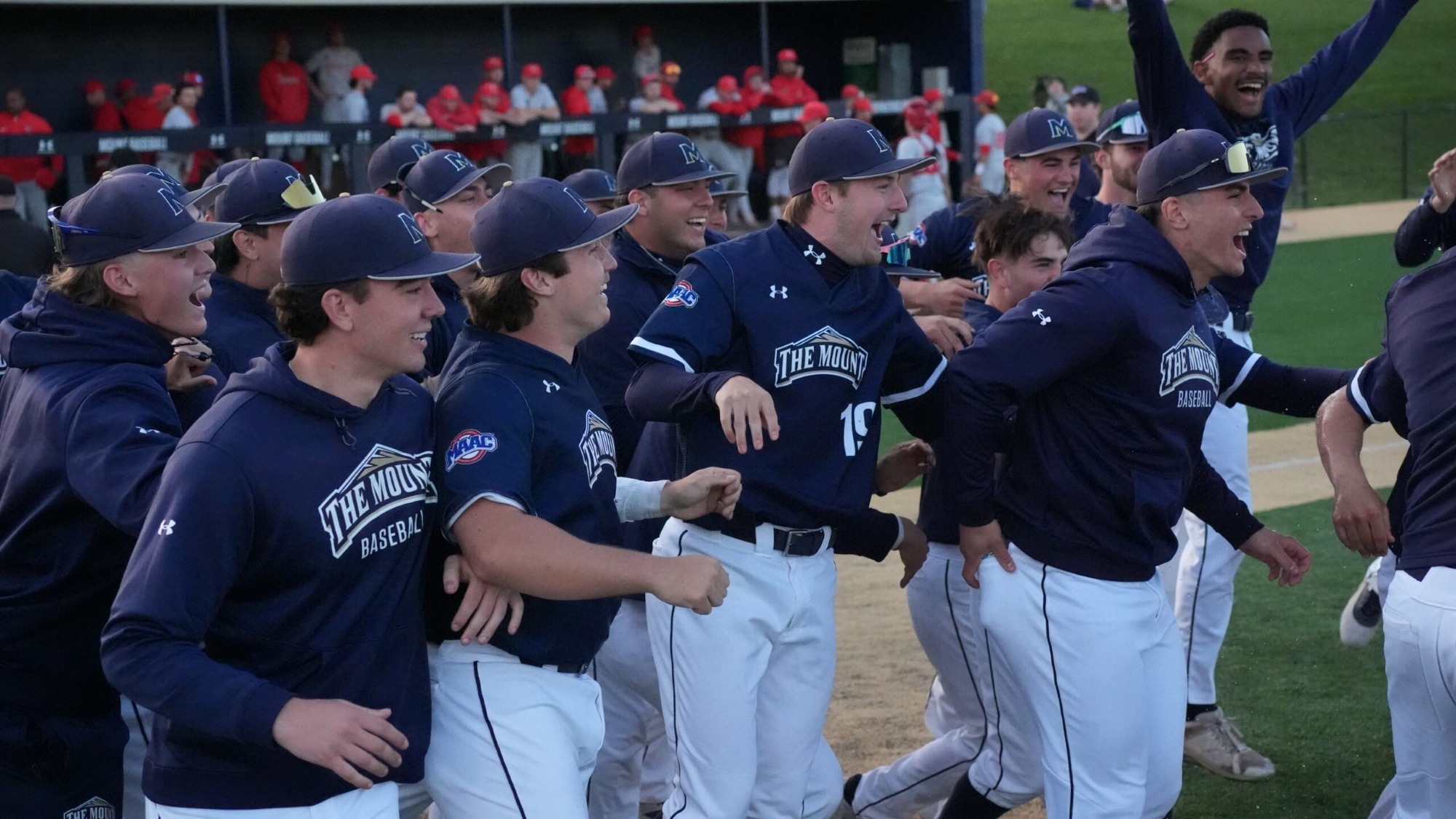 Team Celly after Zepp's walkoff 
