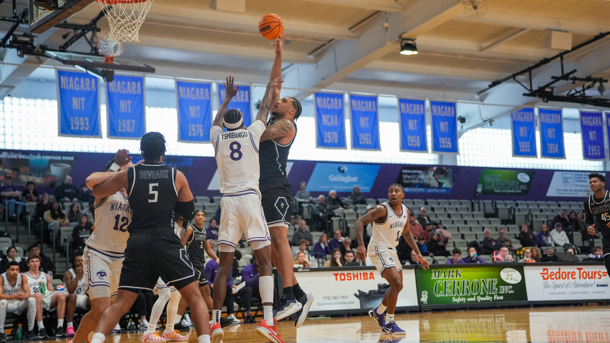 Luke McEldon at Niagara