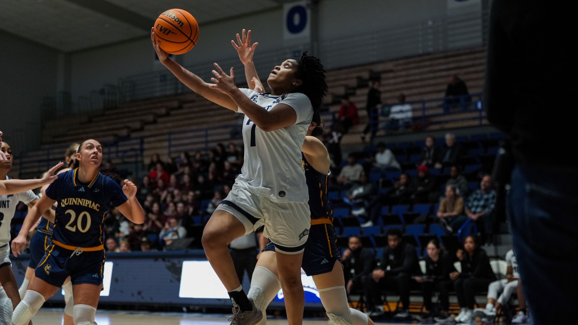 Alana Powell reverse v. Q'Pac