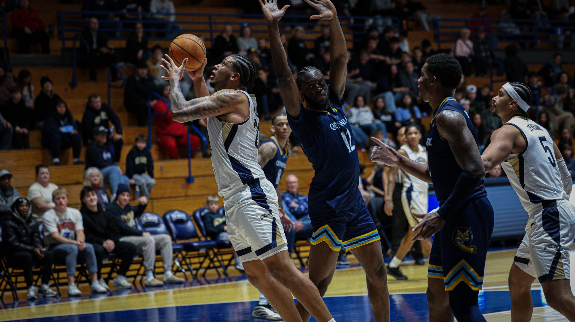 Luke McEldon vs. Quinnipiac