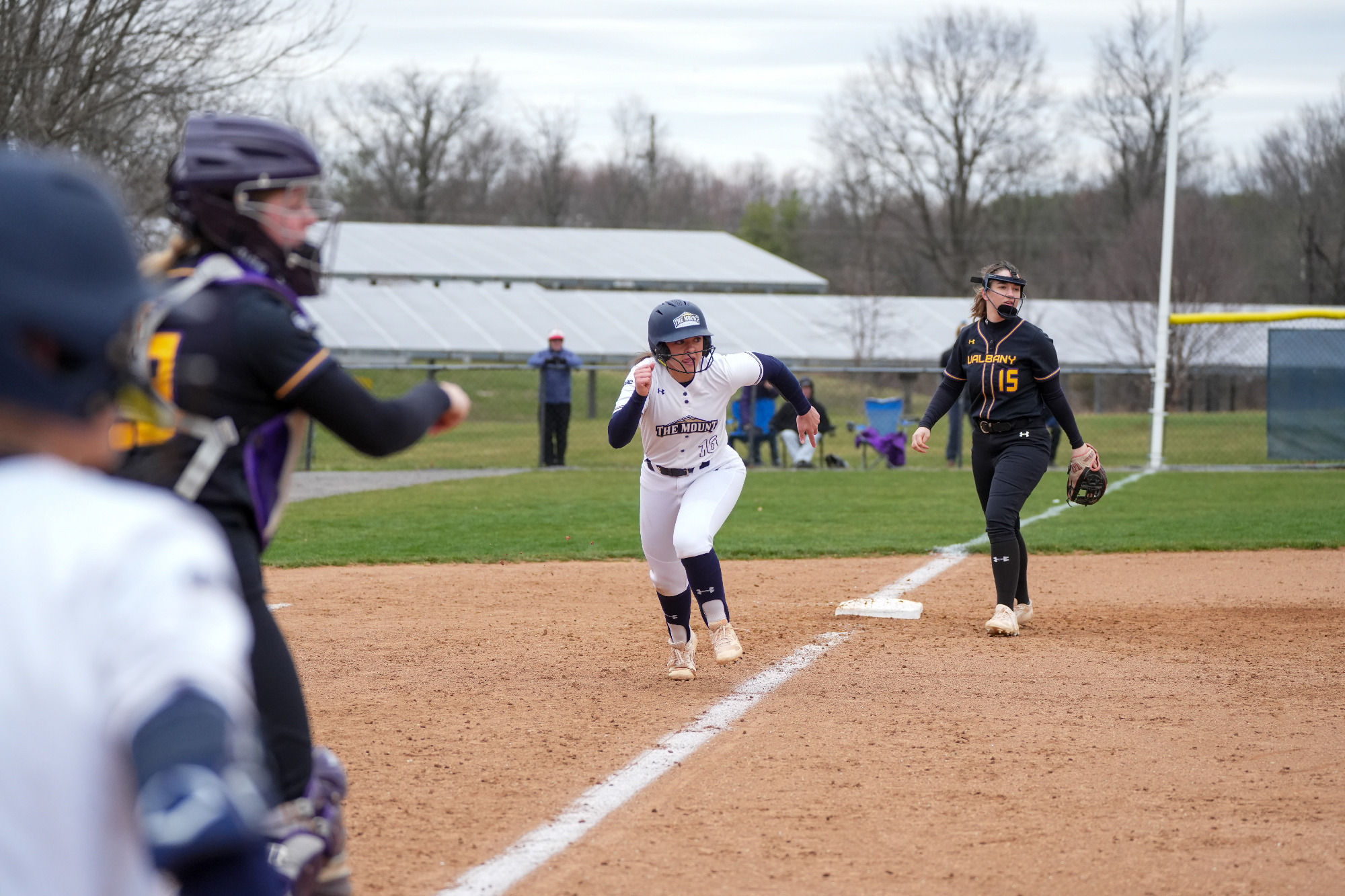 Lia Festa vs. UAlbany