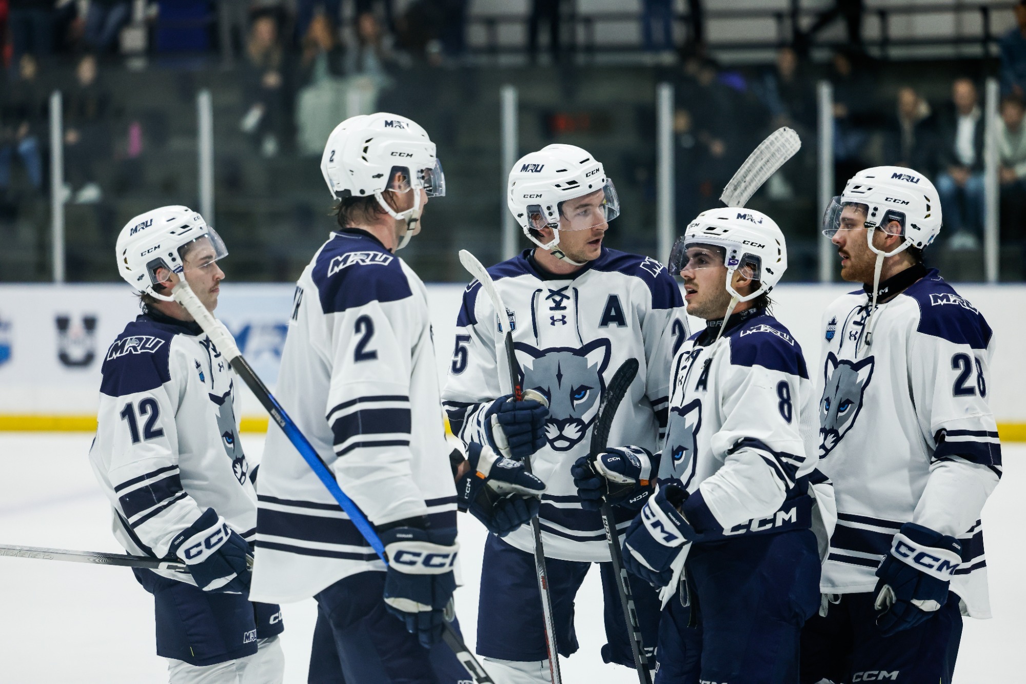MRU celebrates a win over the Regina Cougars at home