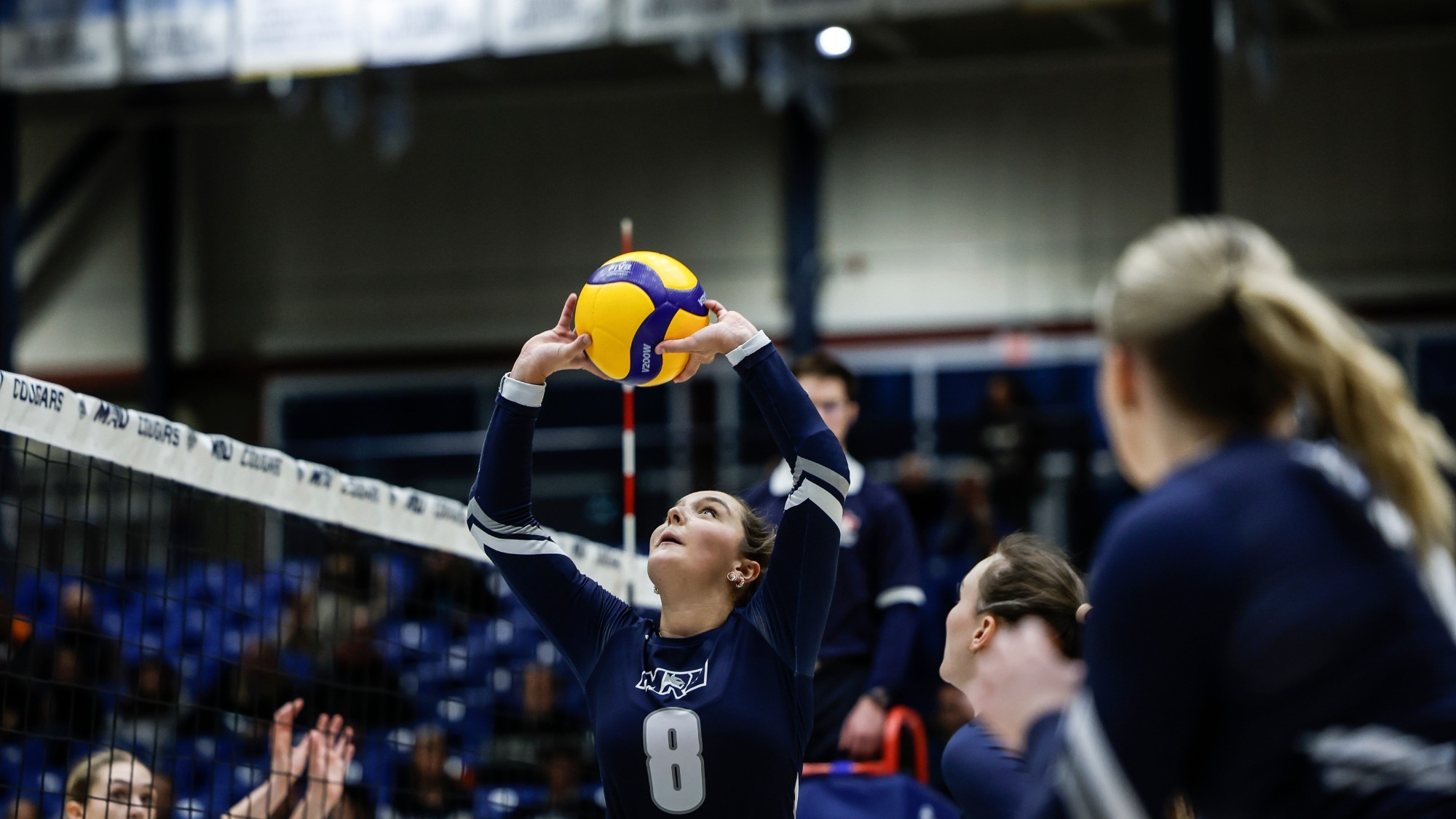 wvb mru vs gmu feb 1 2025 web header