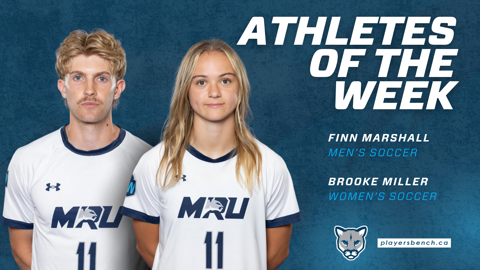 AOTW Oct 19