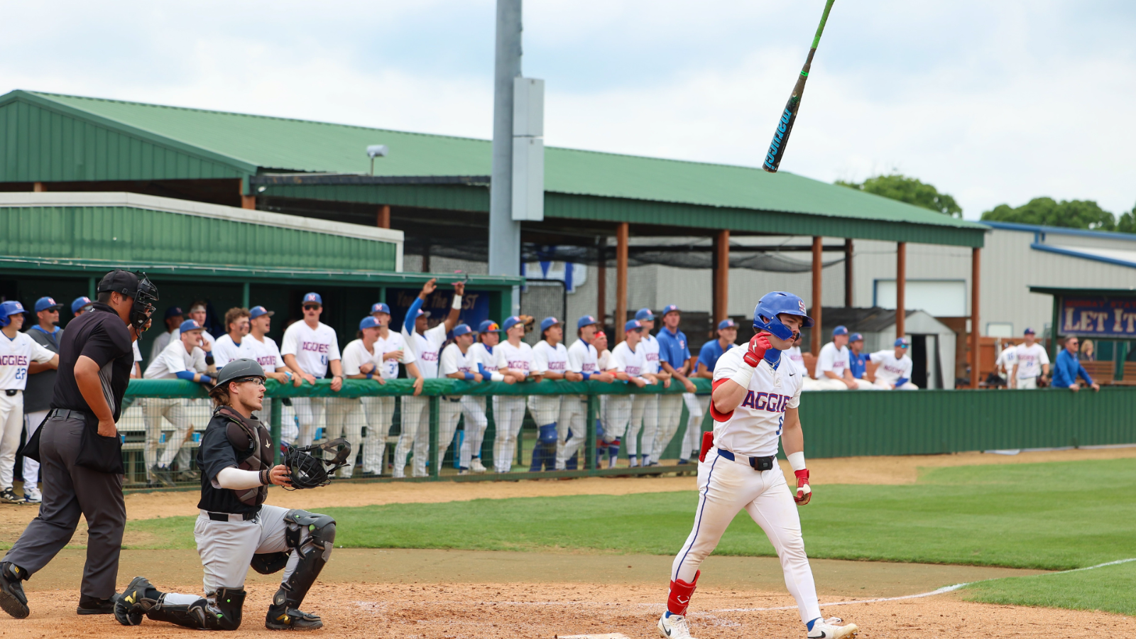 #6 - home run - baseball 