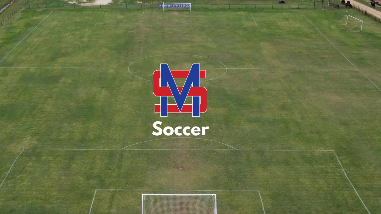 Spear - Men's and Women's Soccer Coach